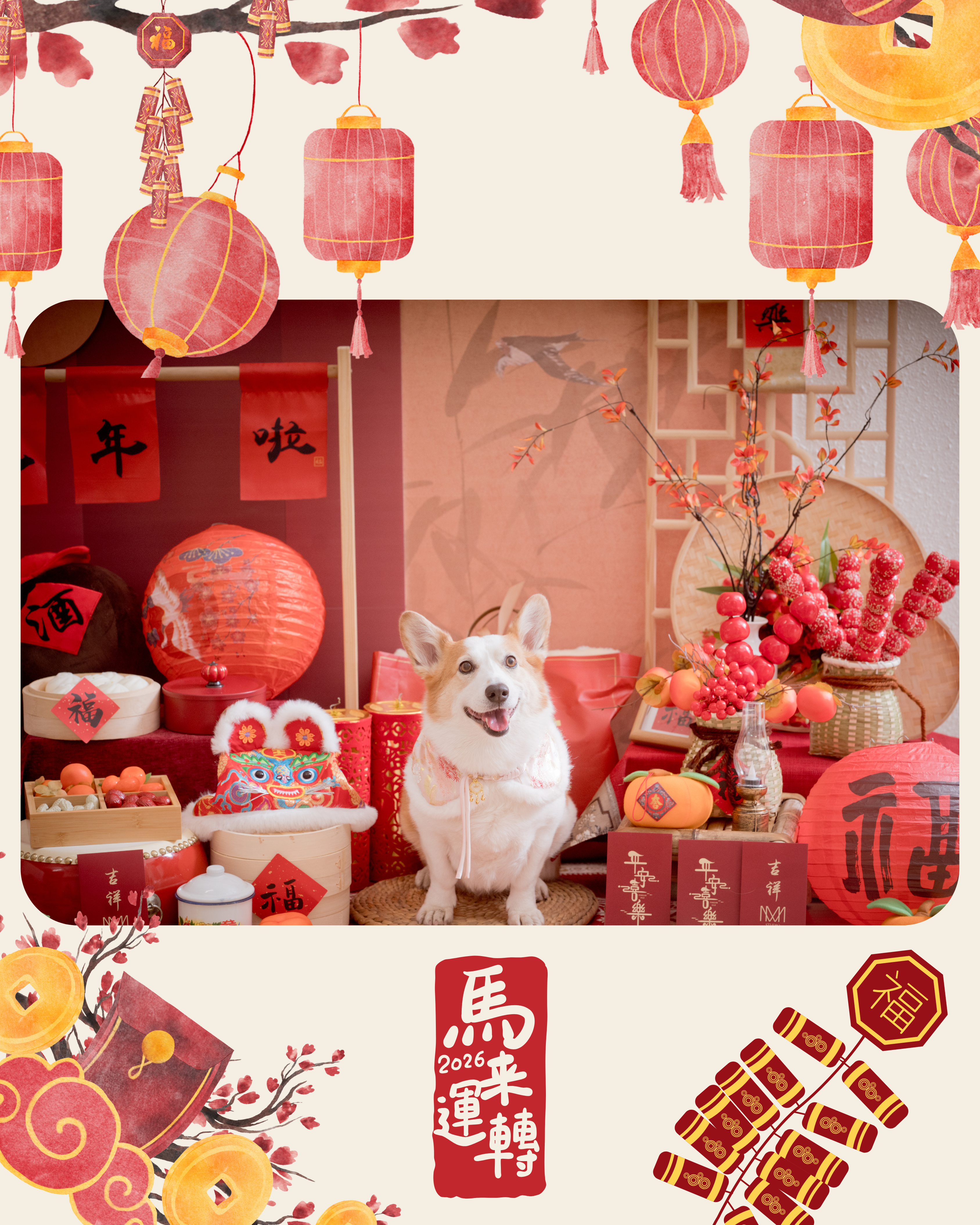 寵寵物農曆年寫真