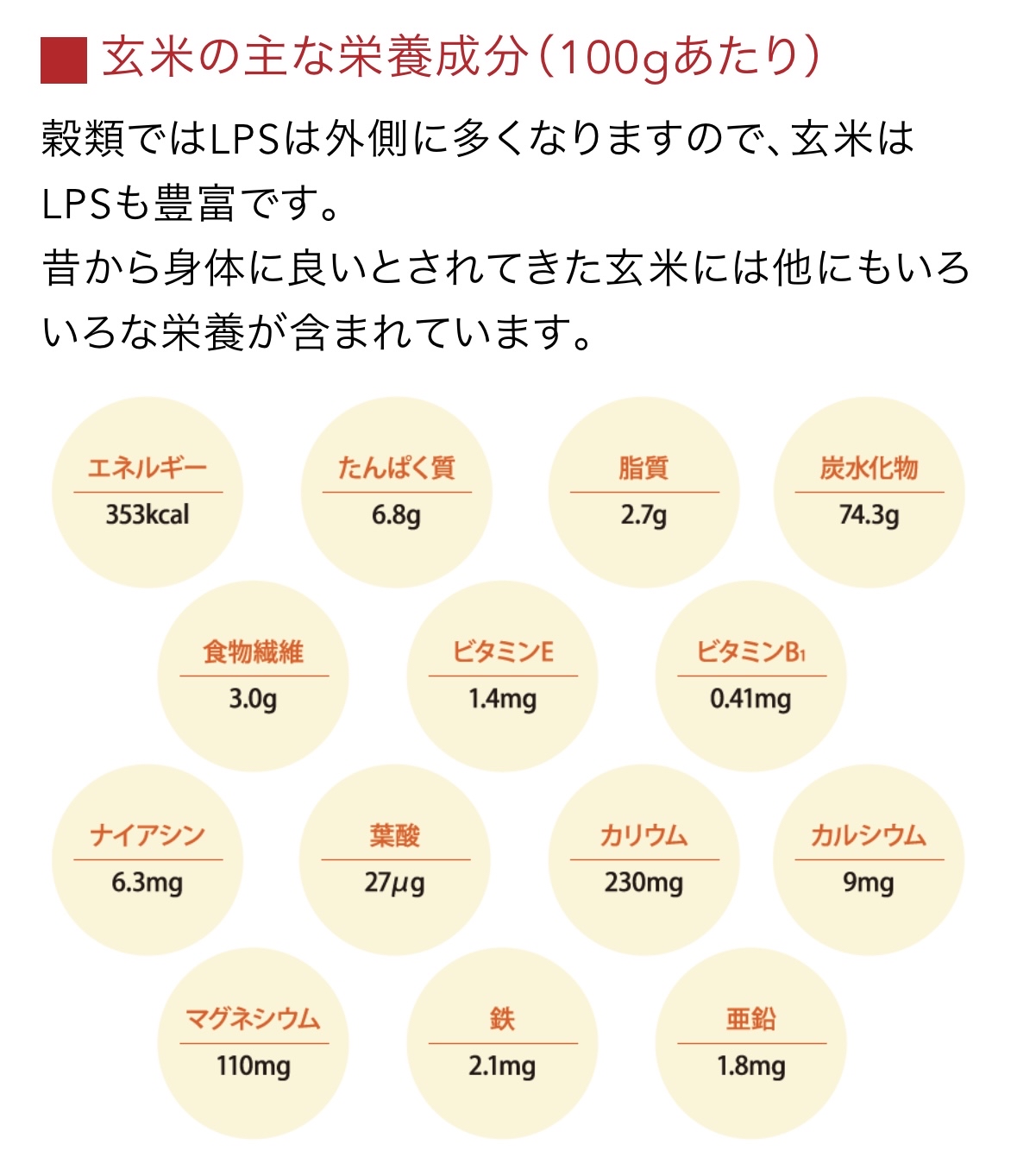 ♻️日本 秋田縣無麩質拉麵 Japan Akita Komachi Gluten-free Ramen