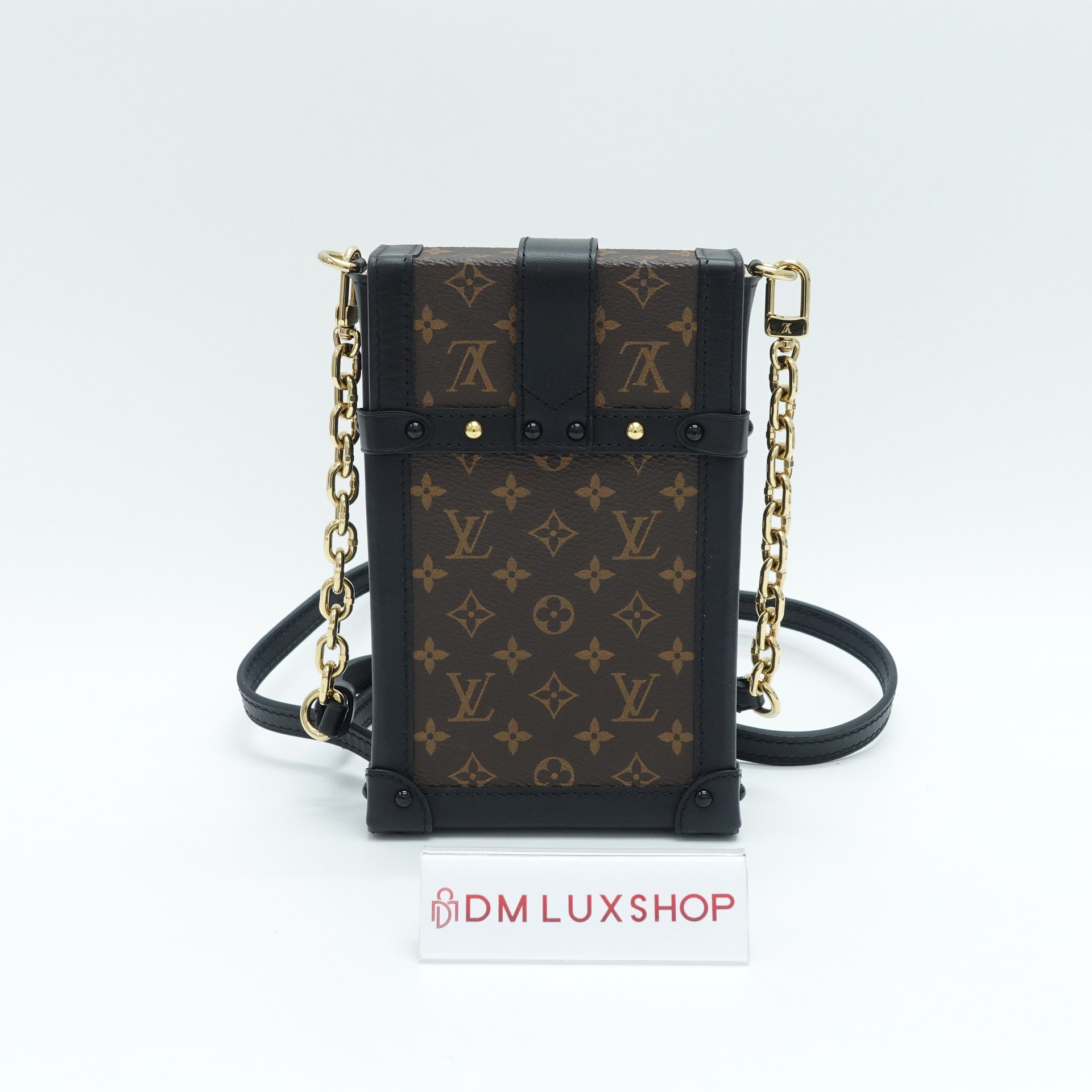 LV Monogram Pochette Trunk