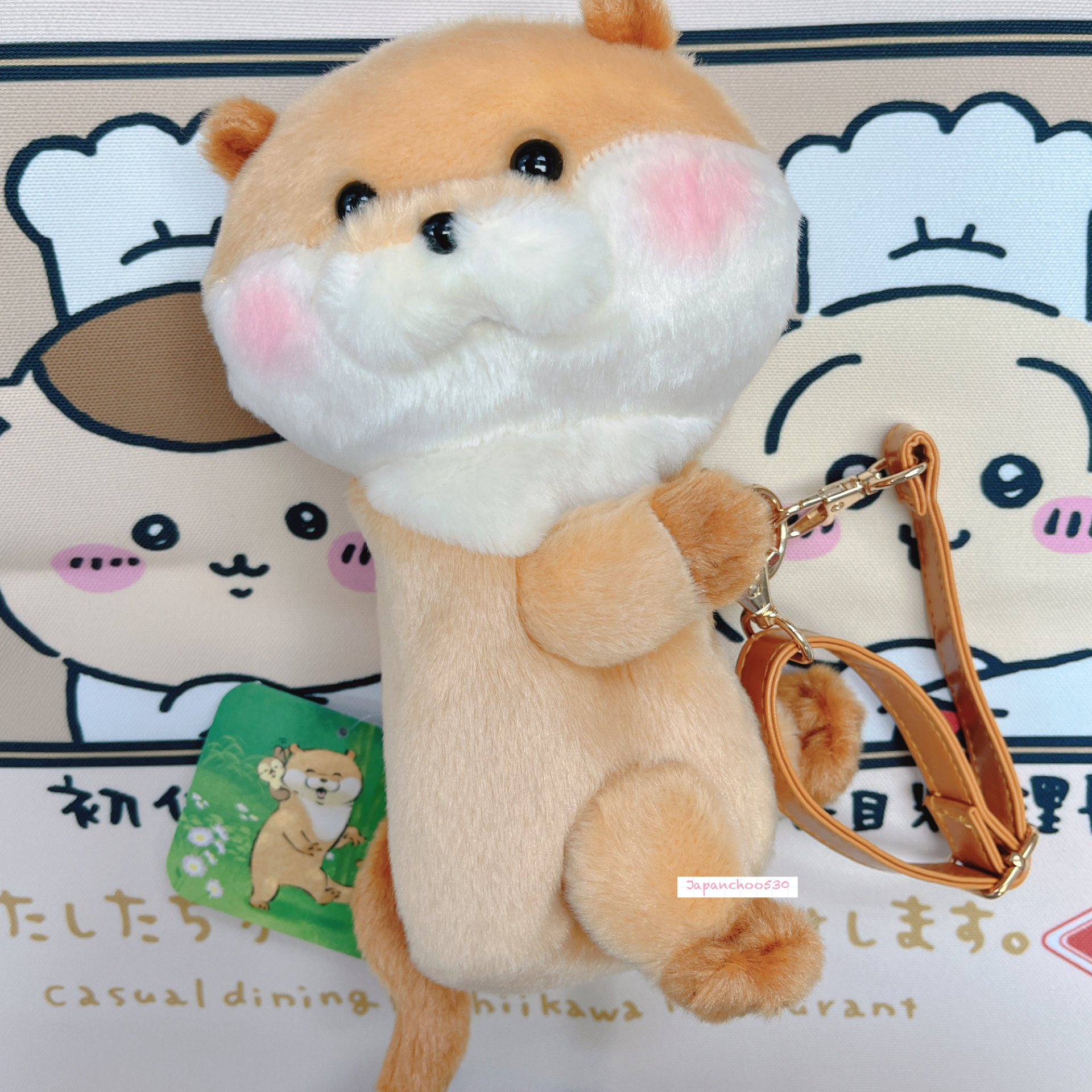 日本現貨/預訂📍可愛謊言的水獺可愛攬攬樣袋仔吊飾