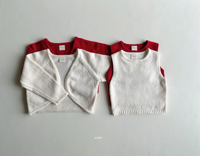 🇰🇷azalea背心+外套