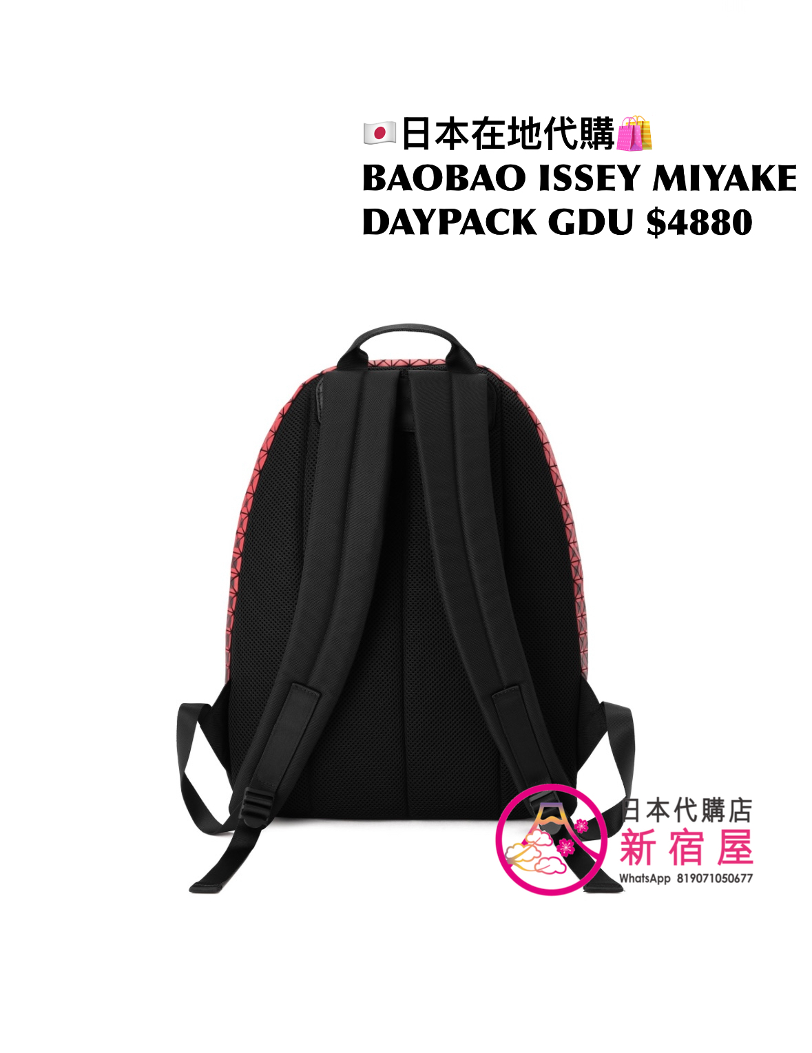 BAOBAO ISSEY MIYAKE DAYPACK GRADUAL