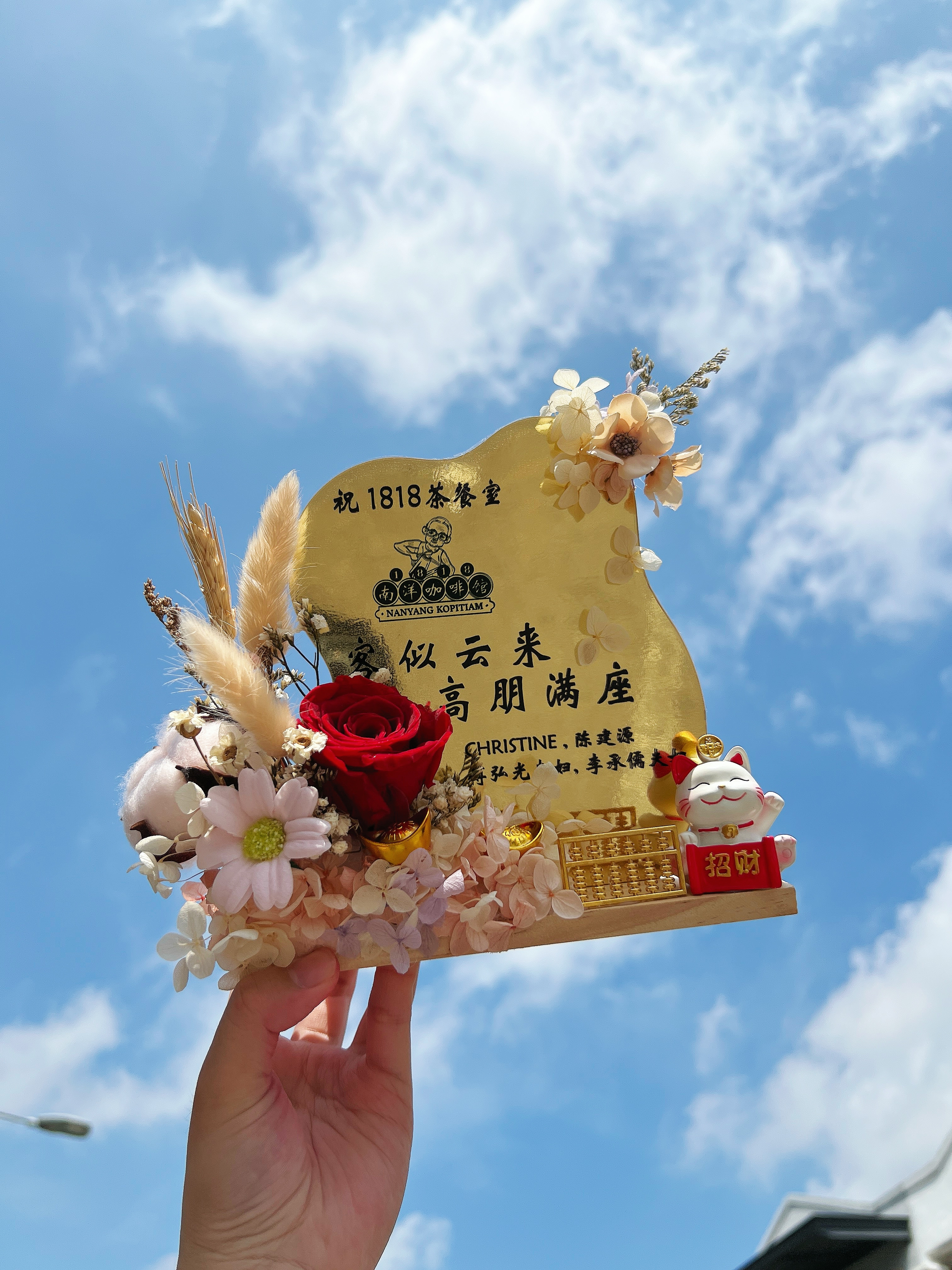 Opening Acrylic Mirror 