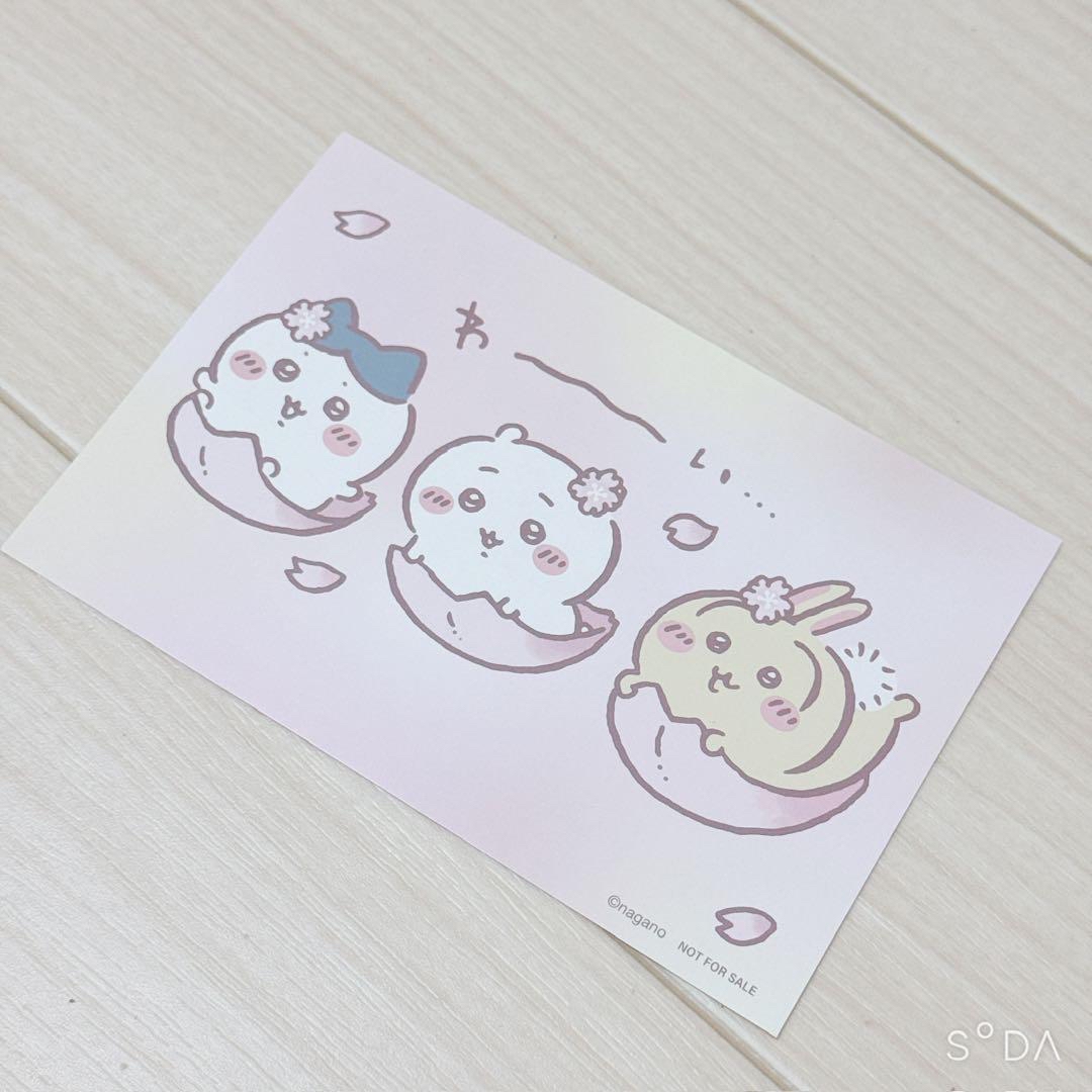 Chiikawa POST CARD｜現貨