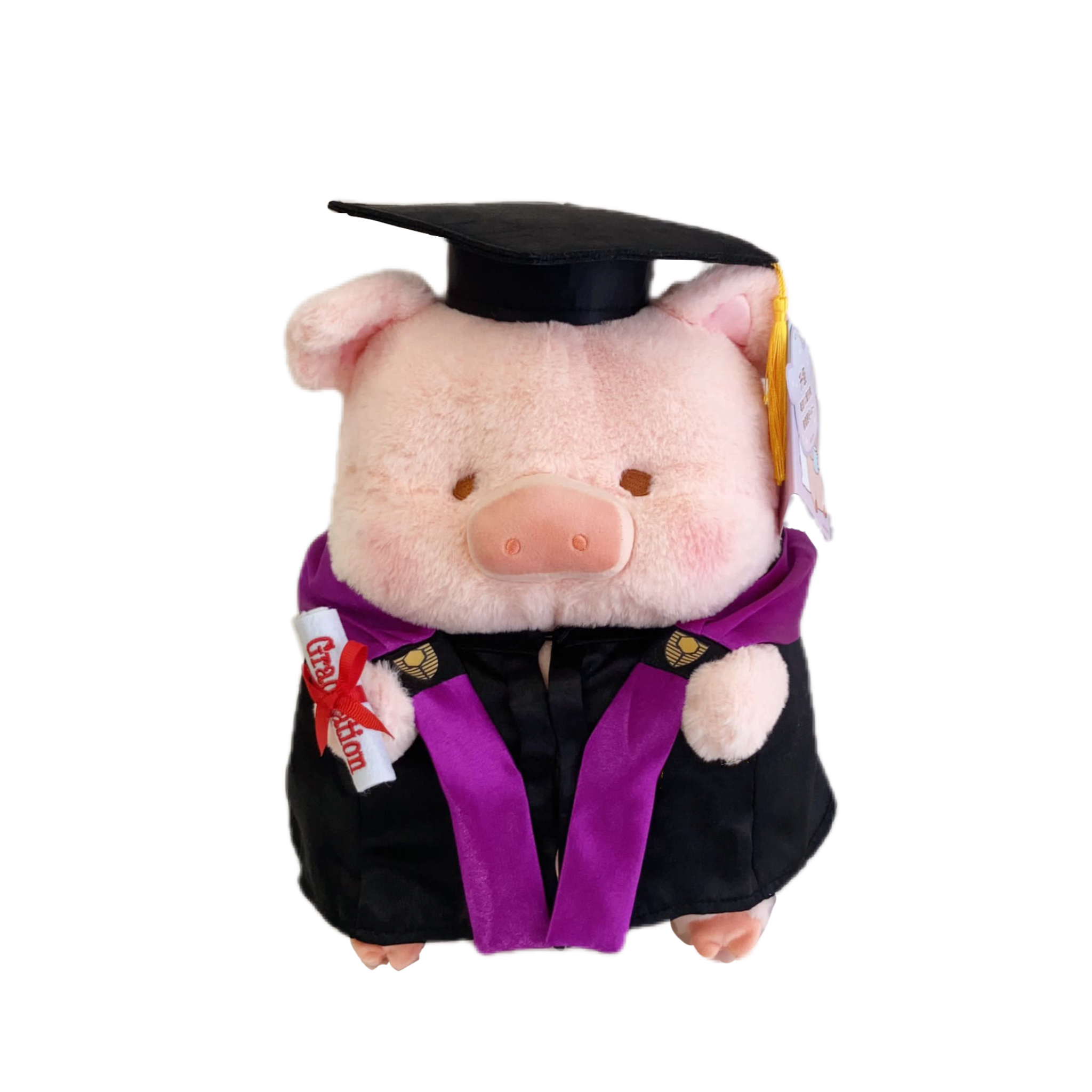 (非現貨)$800 lulupig+訂製外國畢業袍