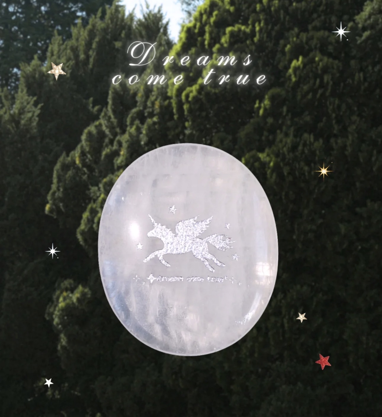 Dreams come true 夢想成真