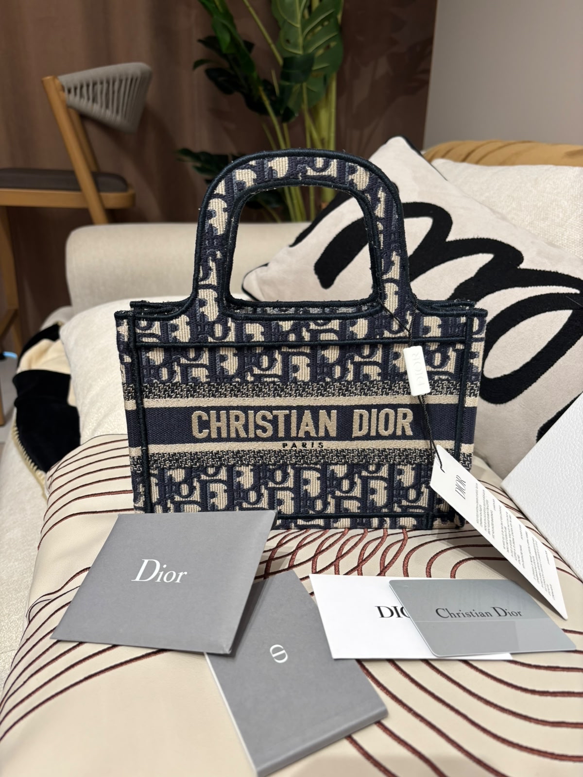 全新 Dior mini BOOK TOTE  100%Authentic ,unused 未使用品 ✅certificate card✅dust bag ✅盒 