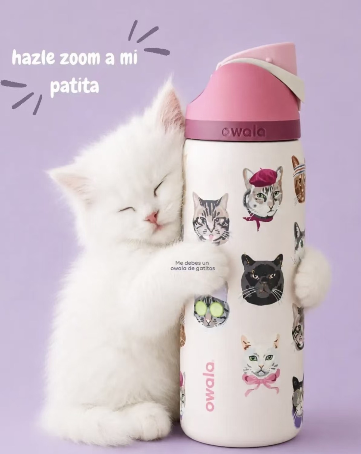 限定款Owala FreeSip x UO Cat Collage 貓咪印花保冷保温杯  貓奴必備