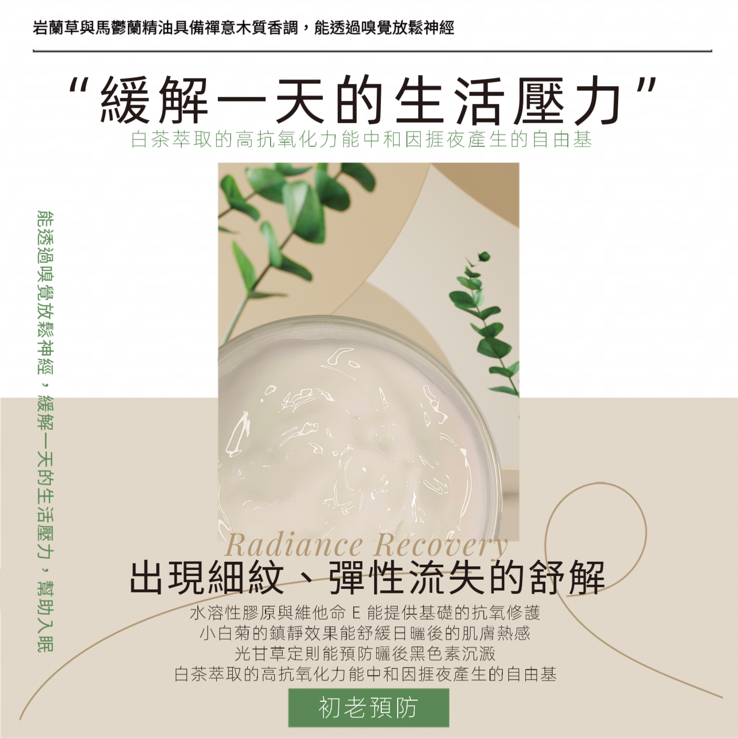 禪意白茶 | 祛黃修復面膜 *睡眠間適用50g