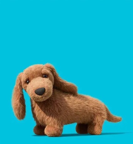 【英國】JellyCat Pecanine Sausage Dog