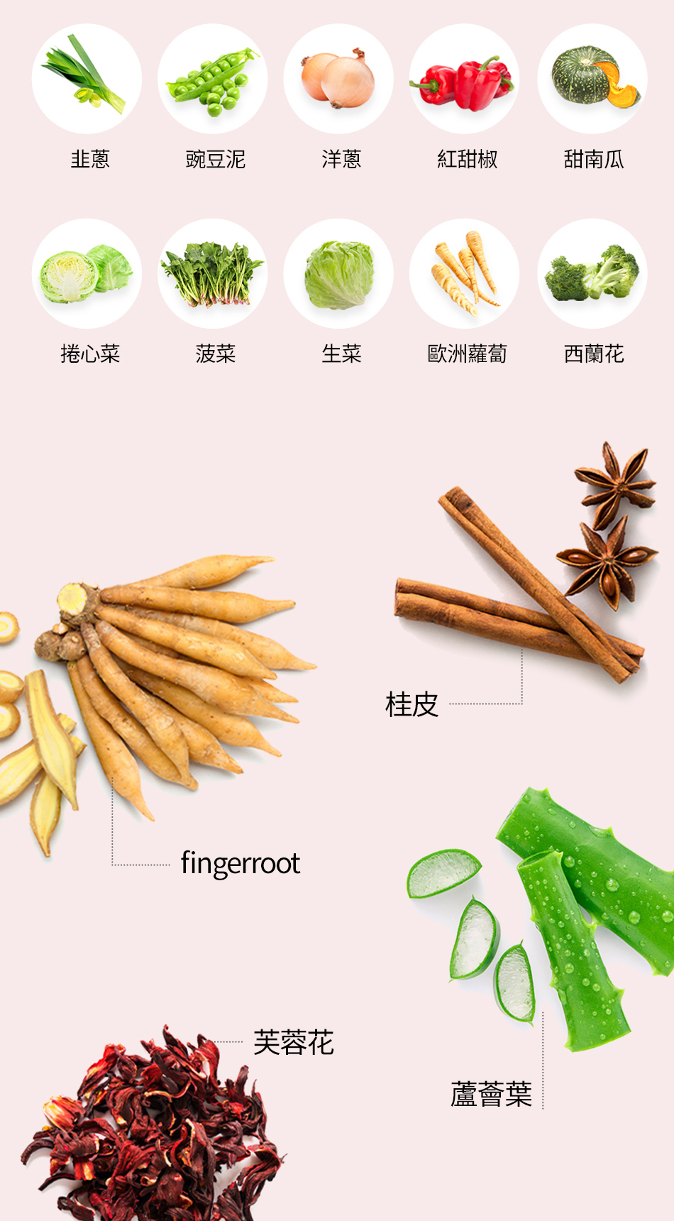 韓國 FOODOLOGY徐玄代言燃脂能量錠(60粒裝）