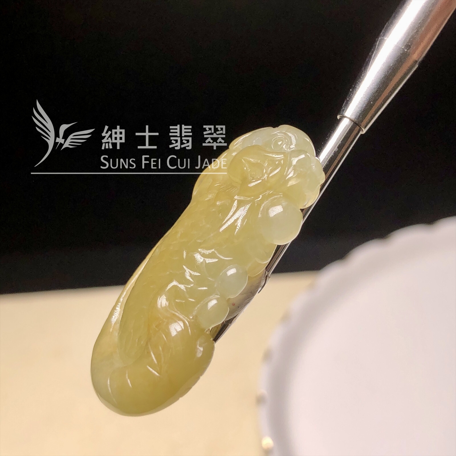 B07377 冰黃龍魚