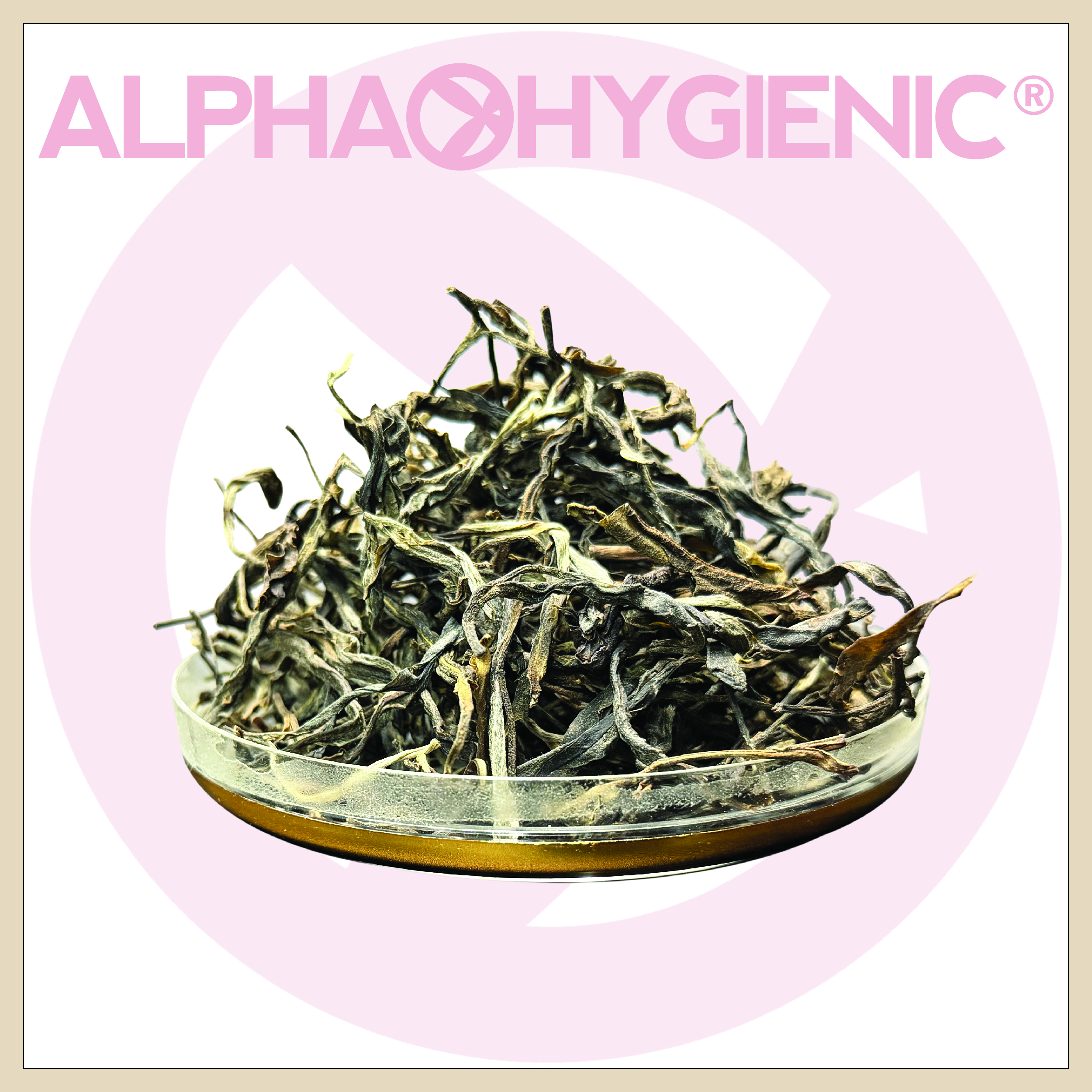 大雪山綠茶8年(約250g)