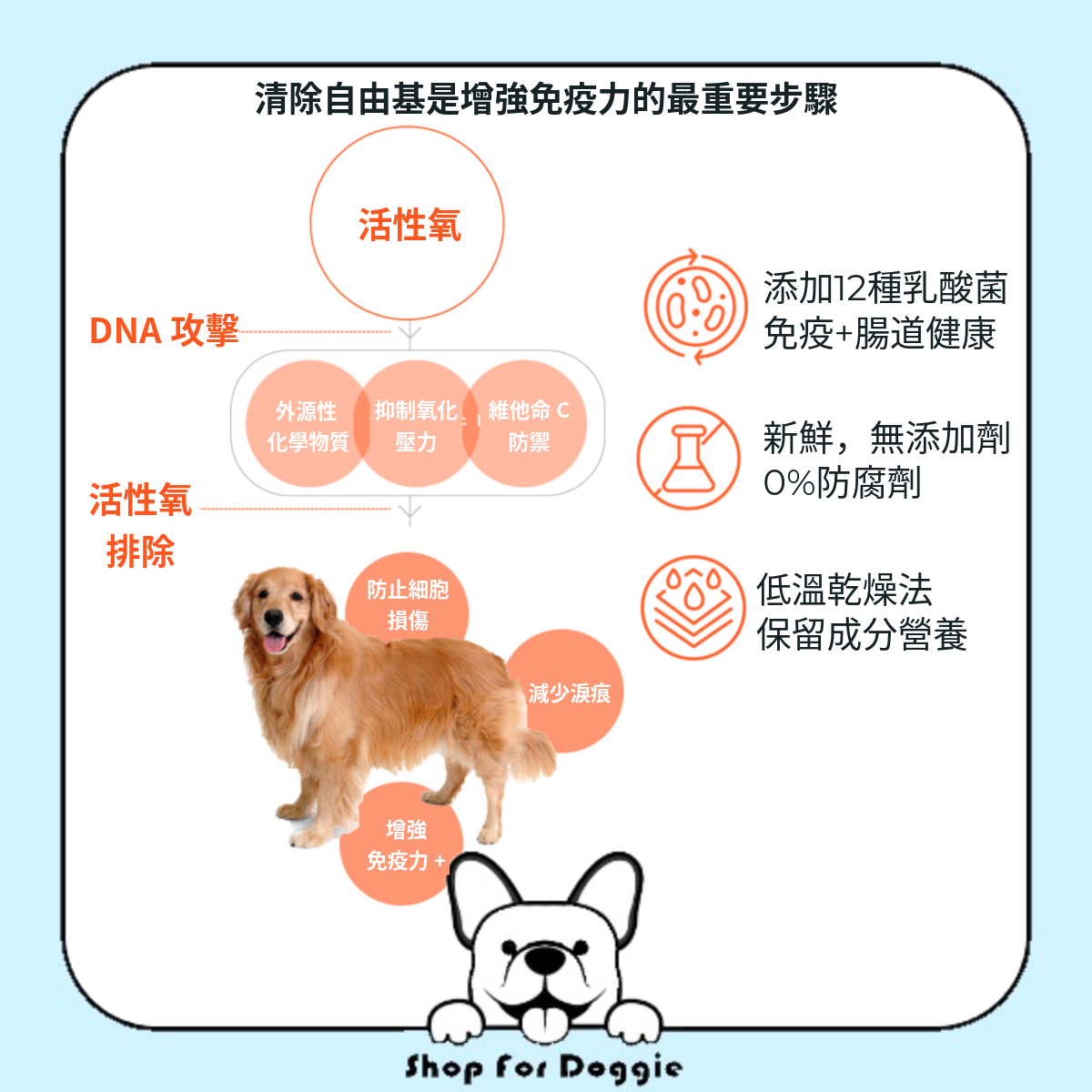 韓國 Honest Meal Yummy 狗糧