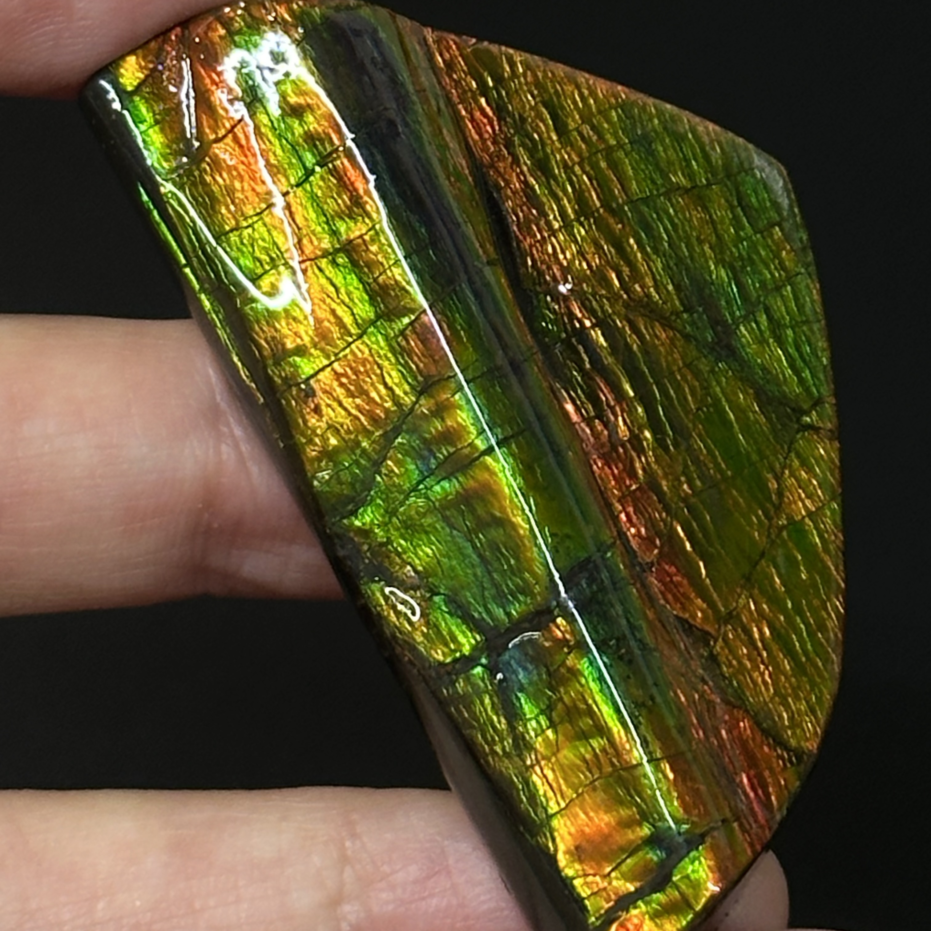 斑彩石 - Ammolite AM04