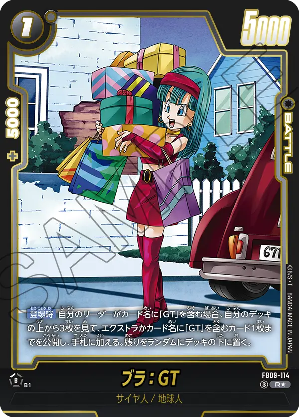 FB09-114 R ブラ：GT [異圖]