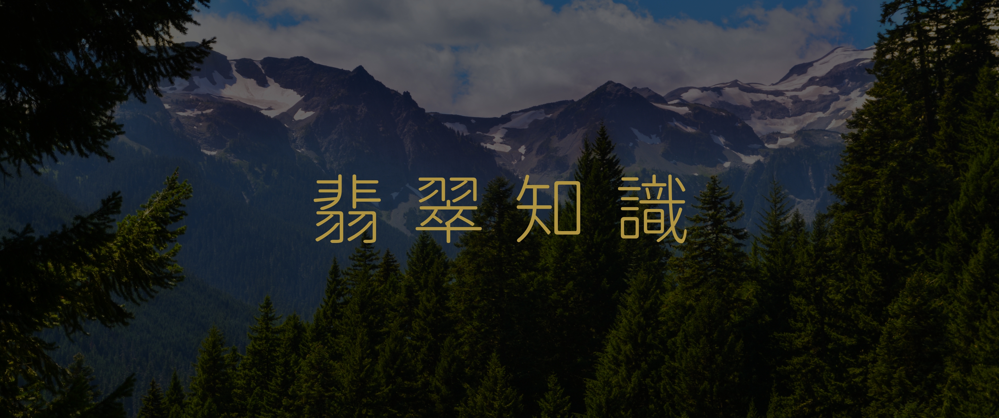 Mobile image