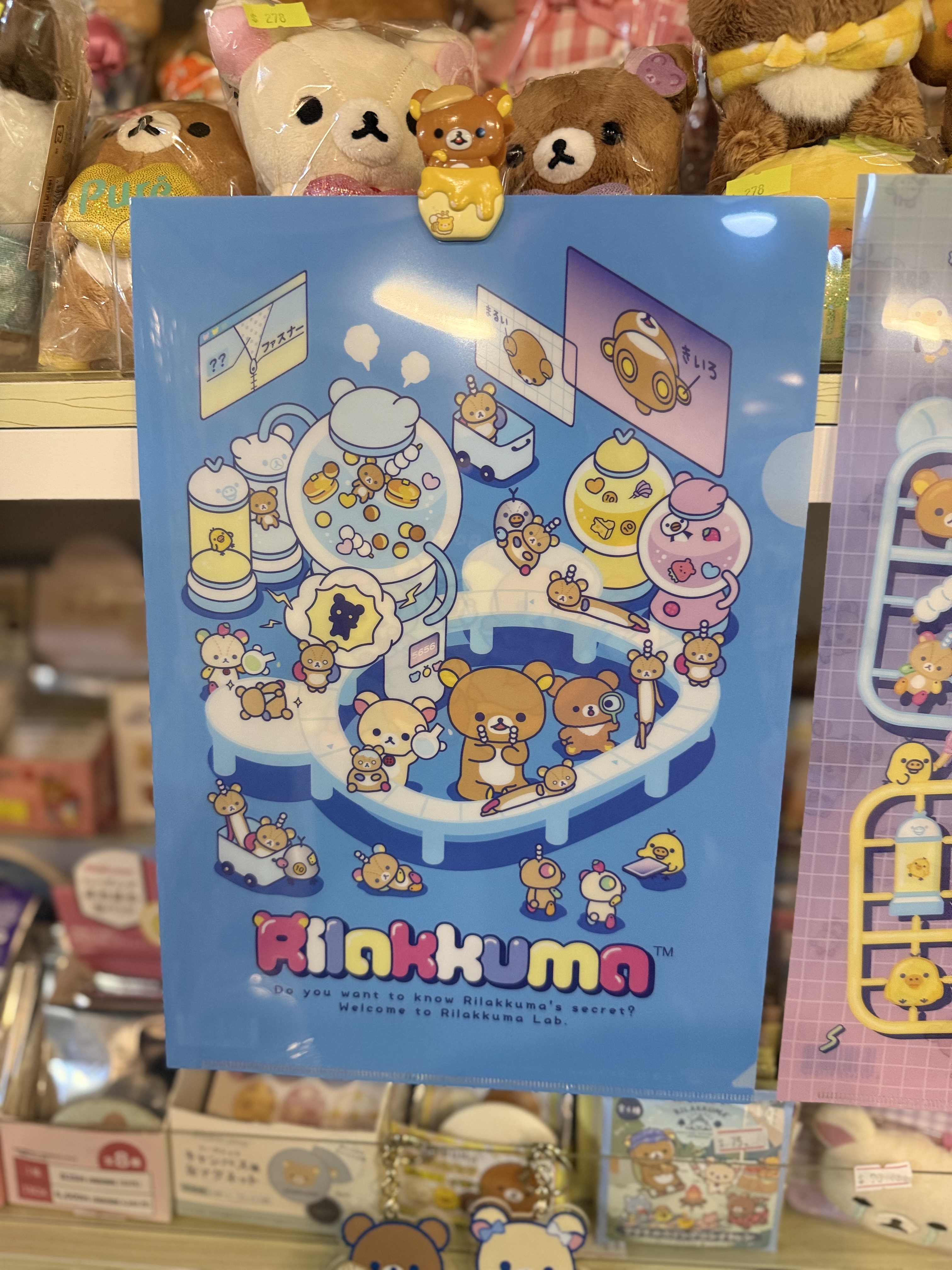 《現貨》全新rilakkuma 實驗室系列A4 單頁file