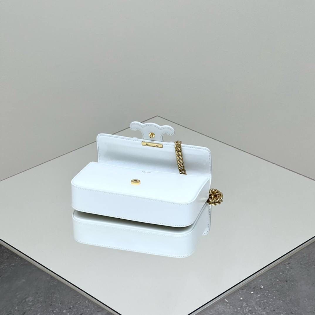 🔥大货实拍图 𝗖𝗘𝗟𝗜𝗡𝗘 ♥ 𝗧𝗥𝗜𝗢𝗠𝗣𝗛𝗘浮雕腋下包 型号：199243 尺寸：20.5*11.5*4cm