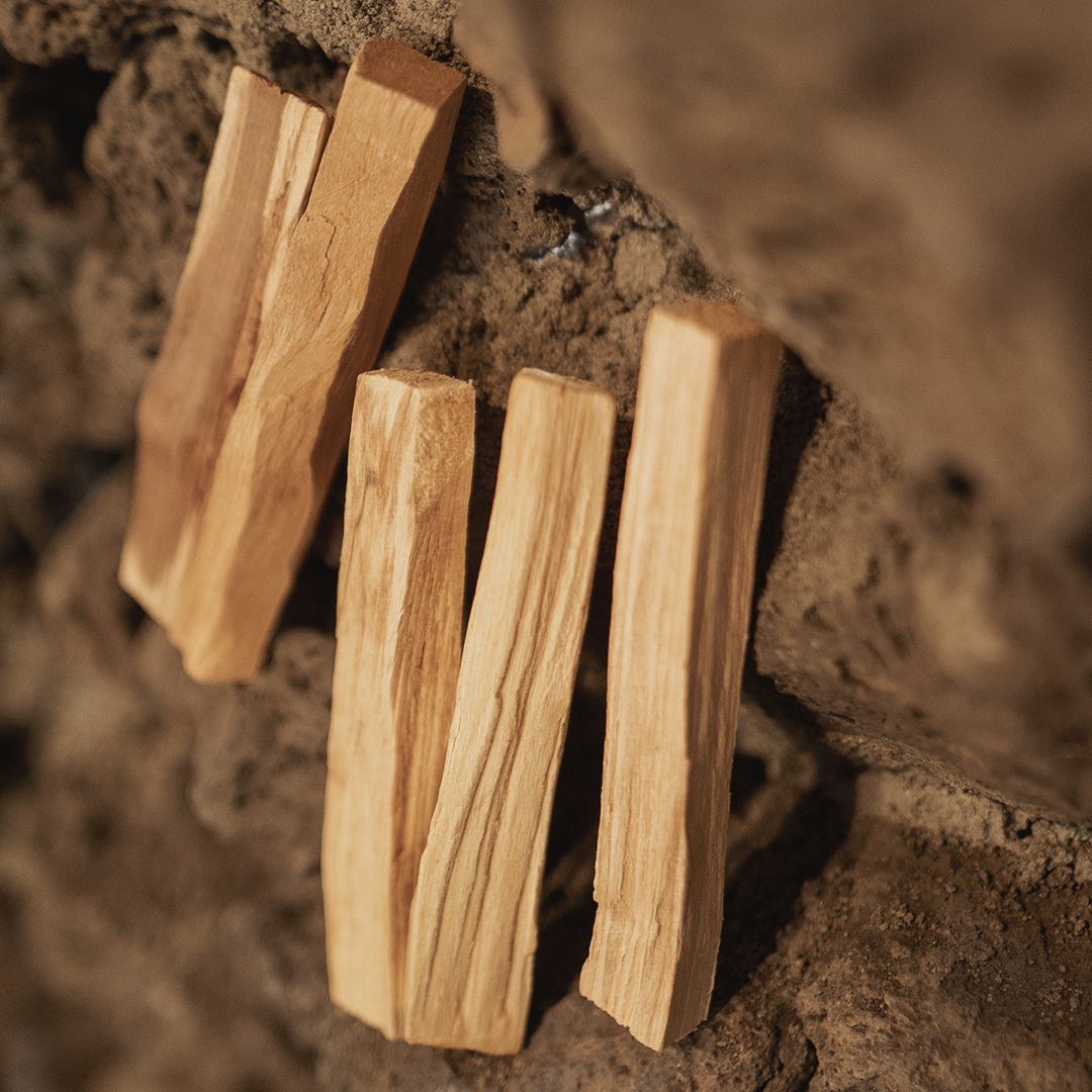 Glosome Holy Smoke Palo Santo Burner