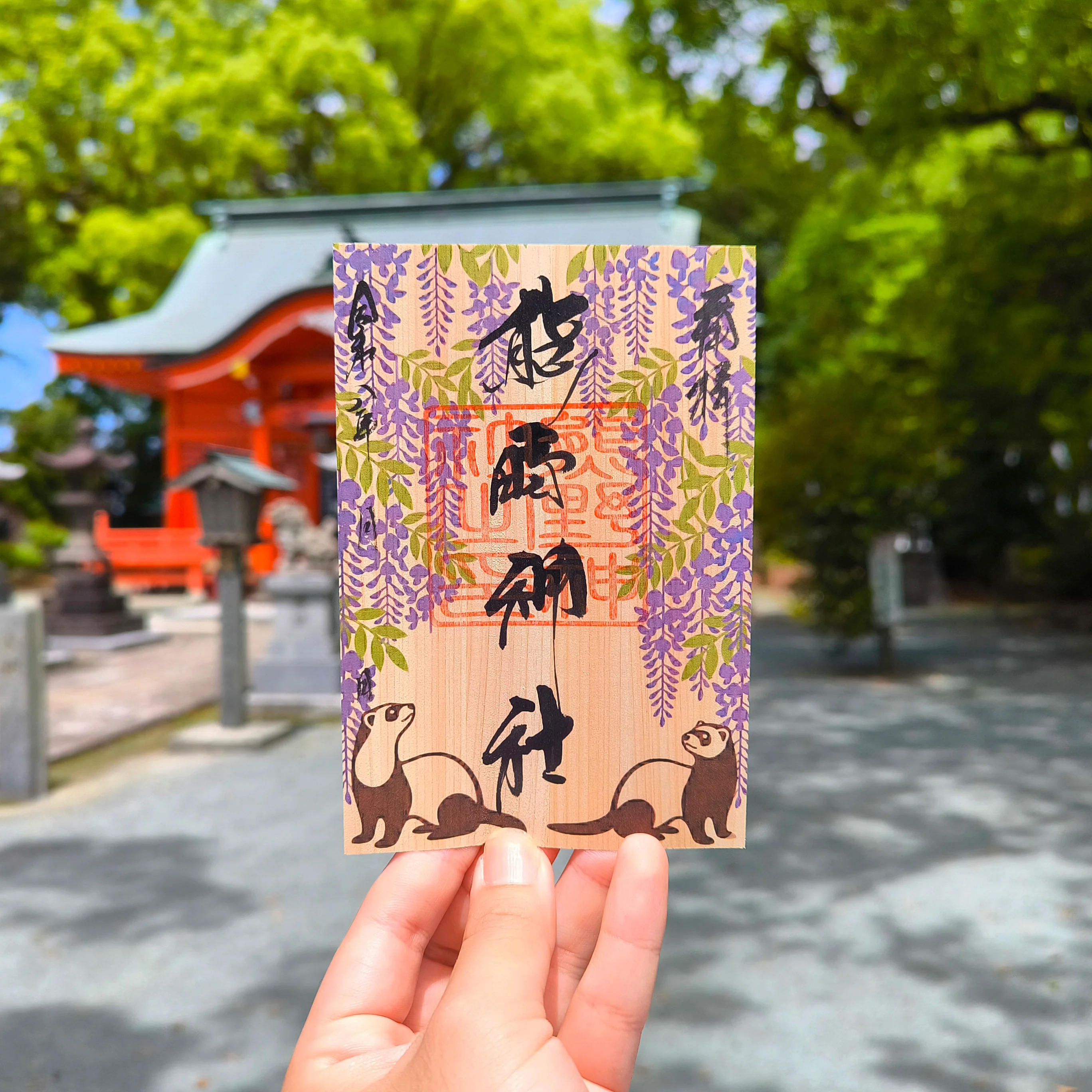 日本 大牟田熊野神社 5月紫藤花款御朱印