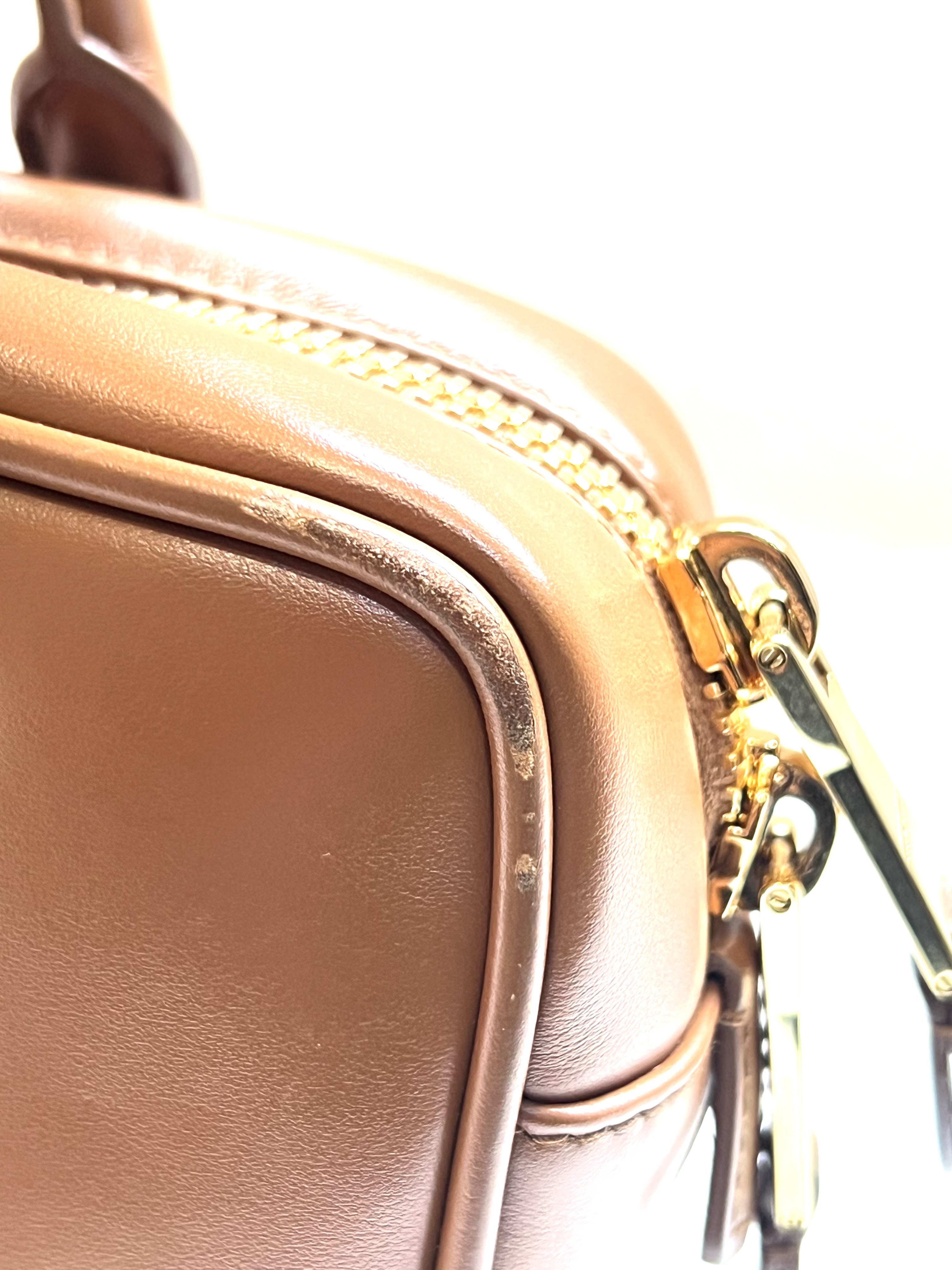 Pre-Owned Miu Miu Arcadie leather handbag / Product Code: 26041641