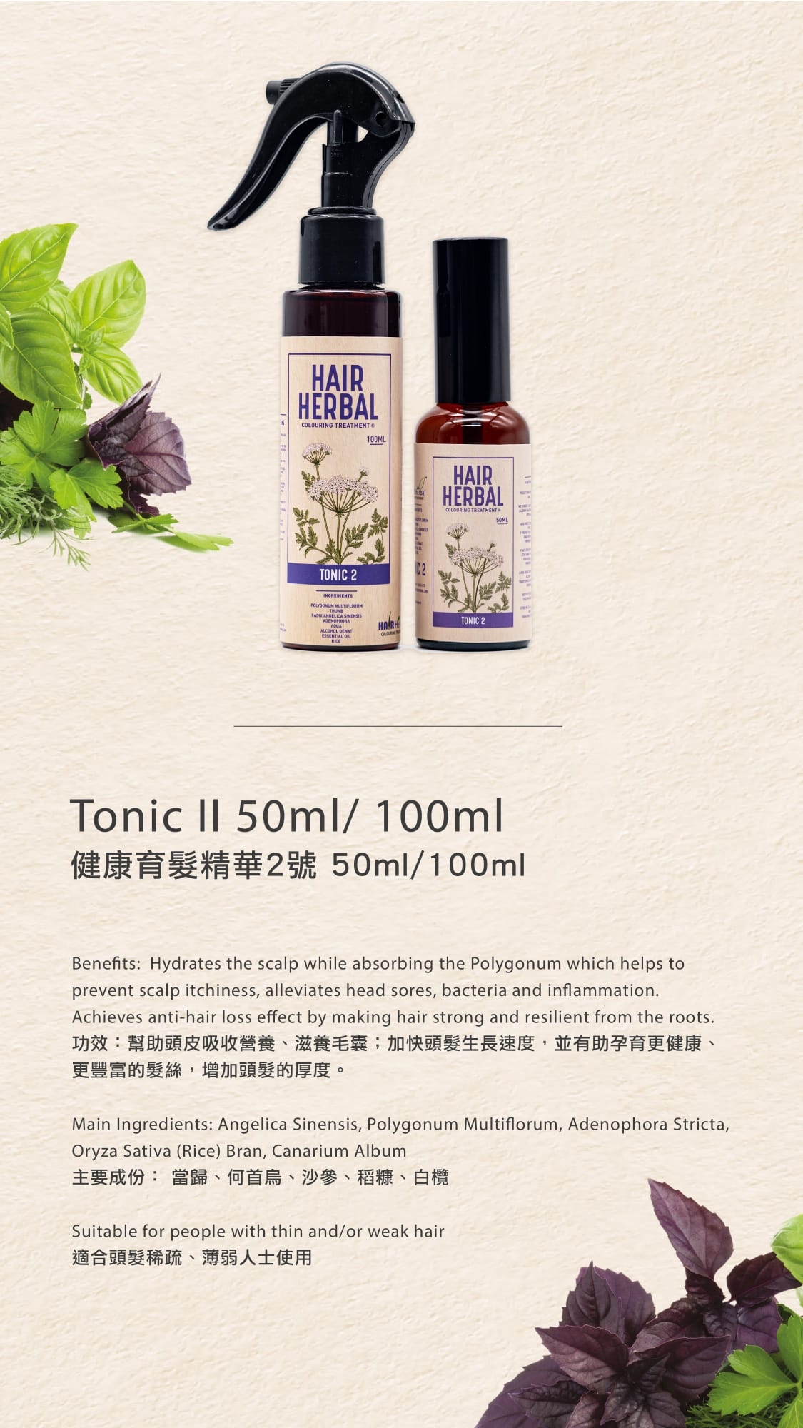 HAIR HERBAL Tonic II 健康育髮精華2號 50ml （強化防脫）