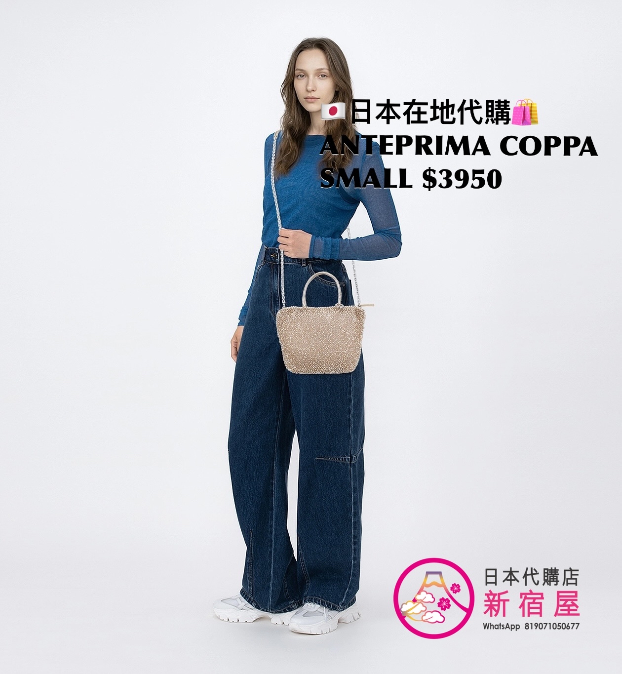 ANTEPRIMA COPPA SMALL