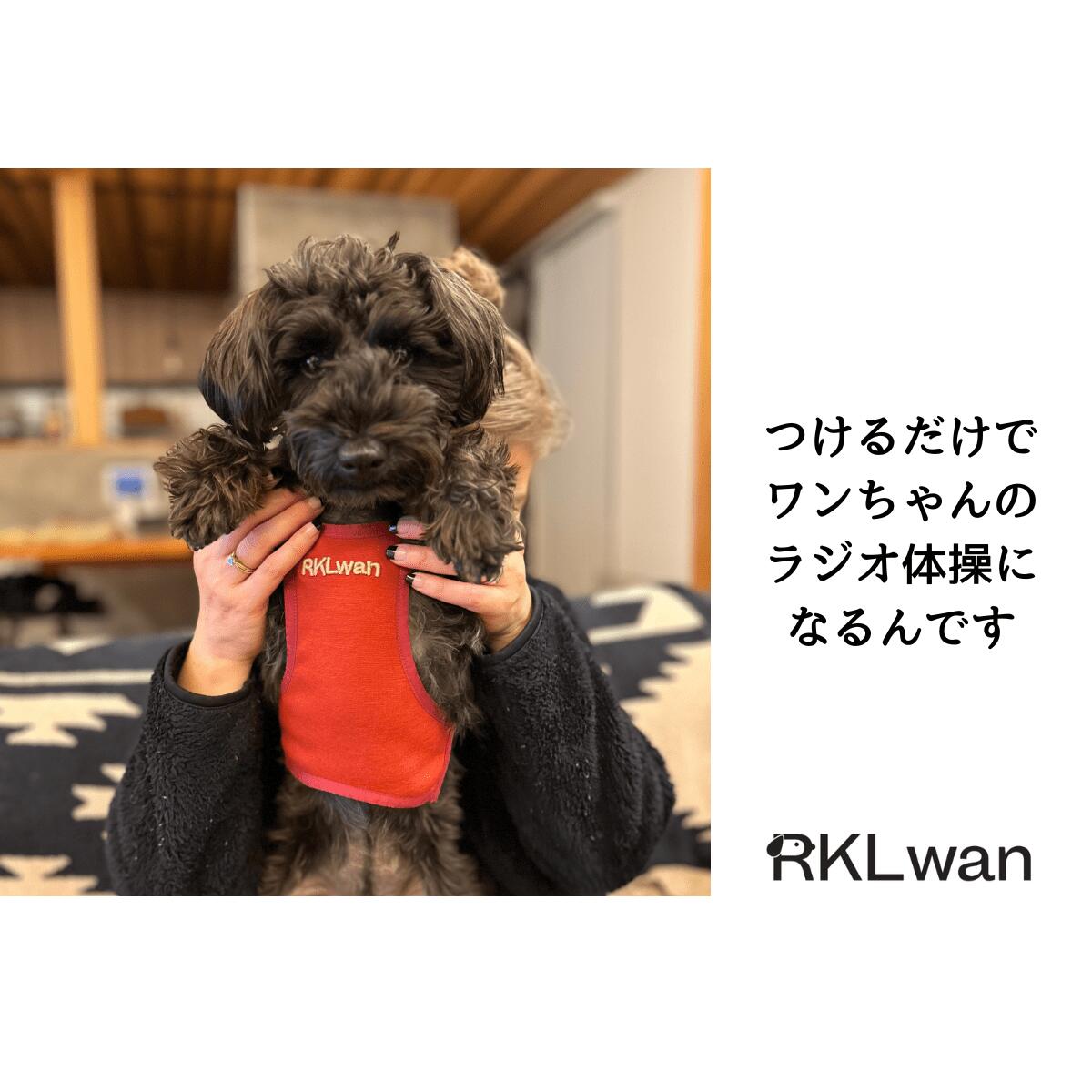 日本 RKLwan 狗狗 促進血液循環 延長壽命護理輔助用品 SPAORE成分 平行進口