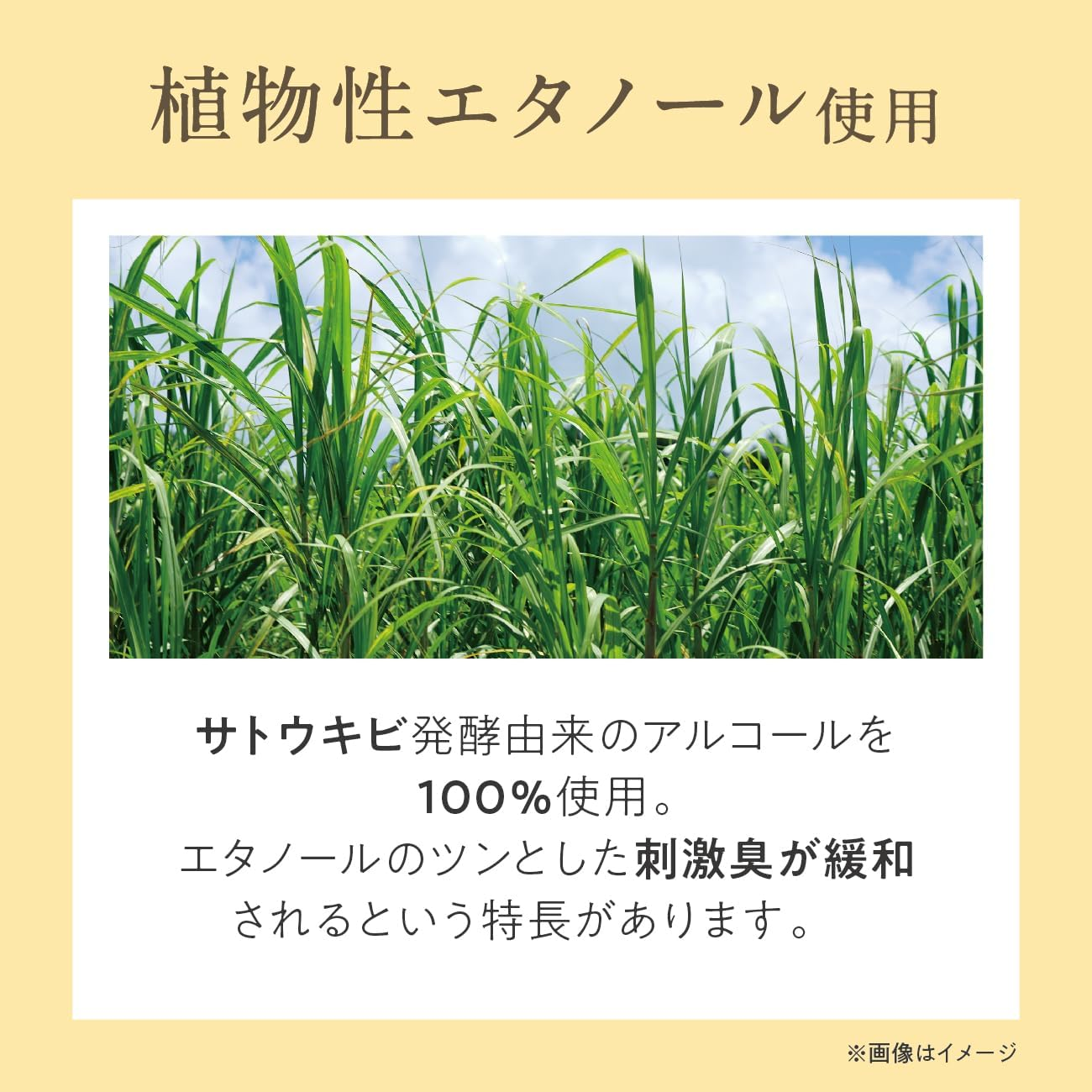 秋日微風必備！日本製金木犀 (桂花) 淡香水 30ml