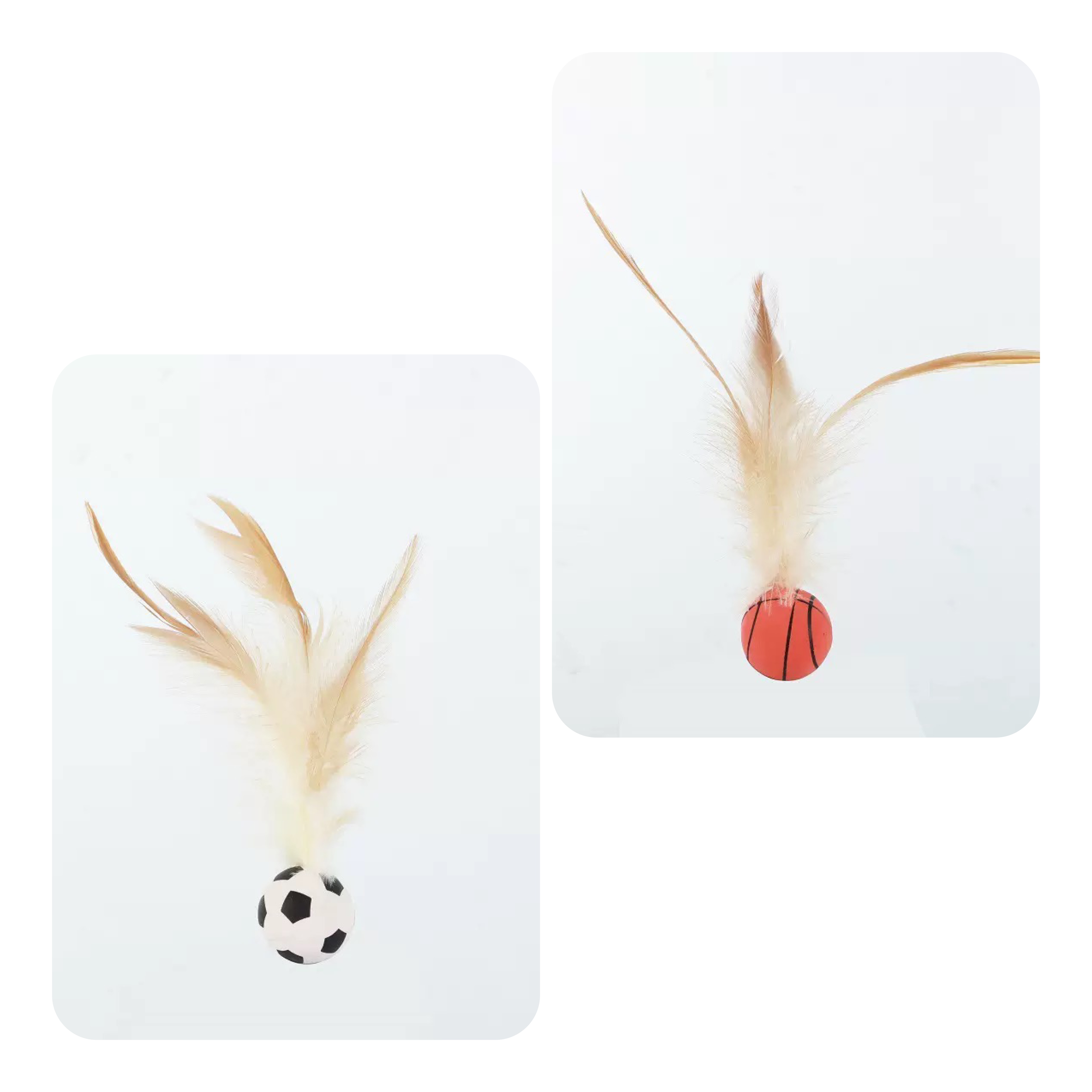 貓貓用 強力彈彈波玩具