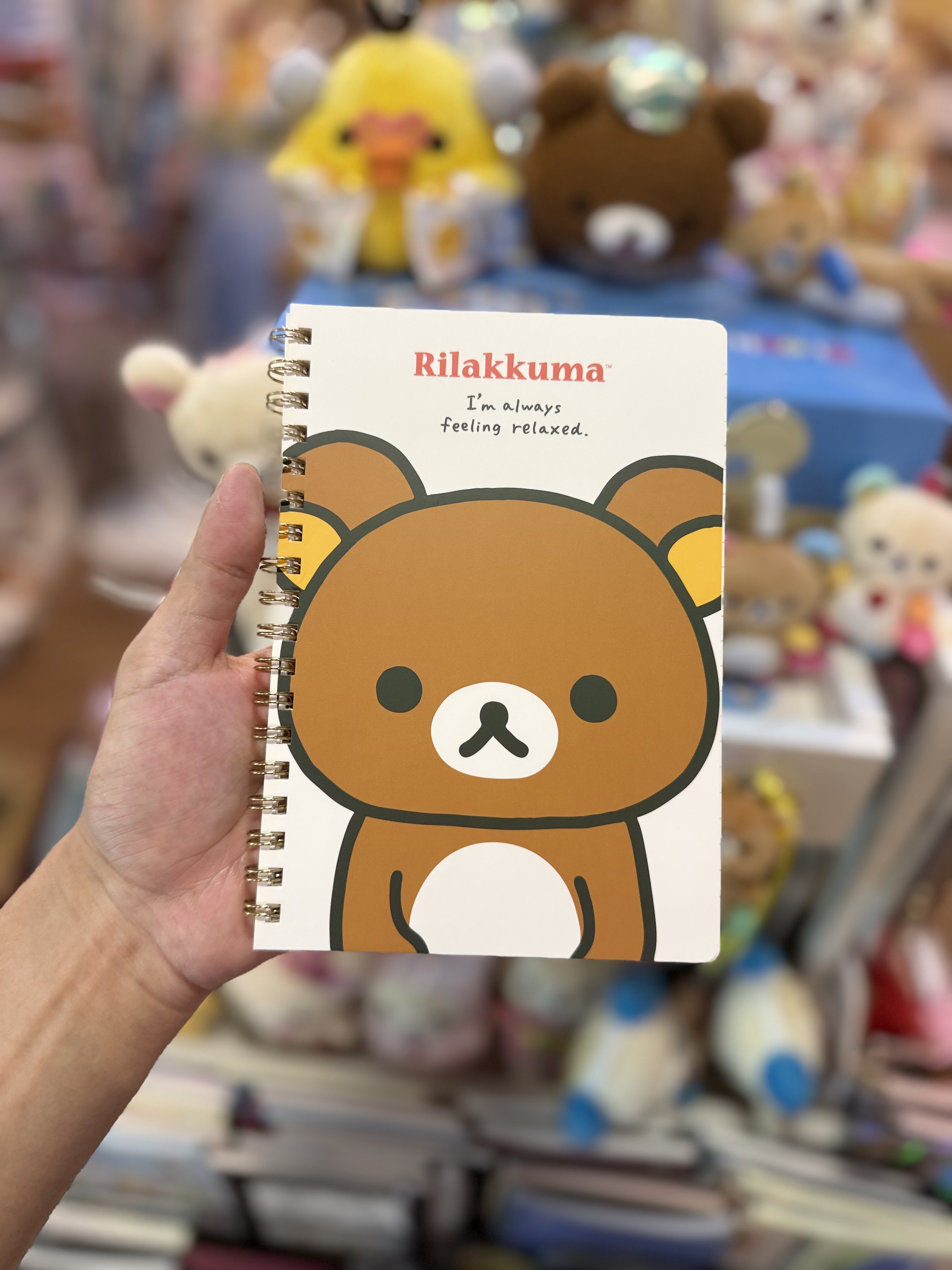 《現貨》全新rilakkuma 元組系列圈簿