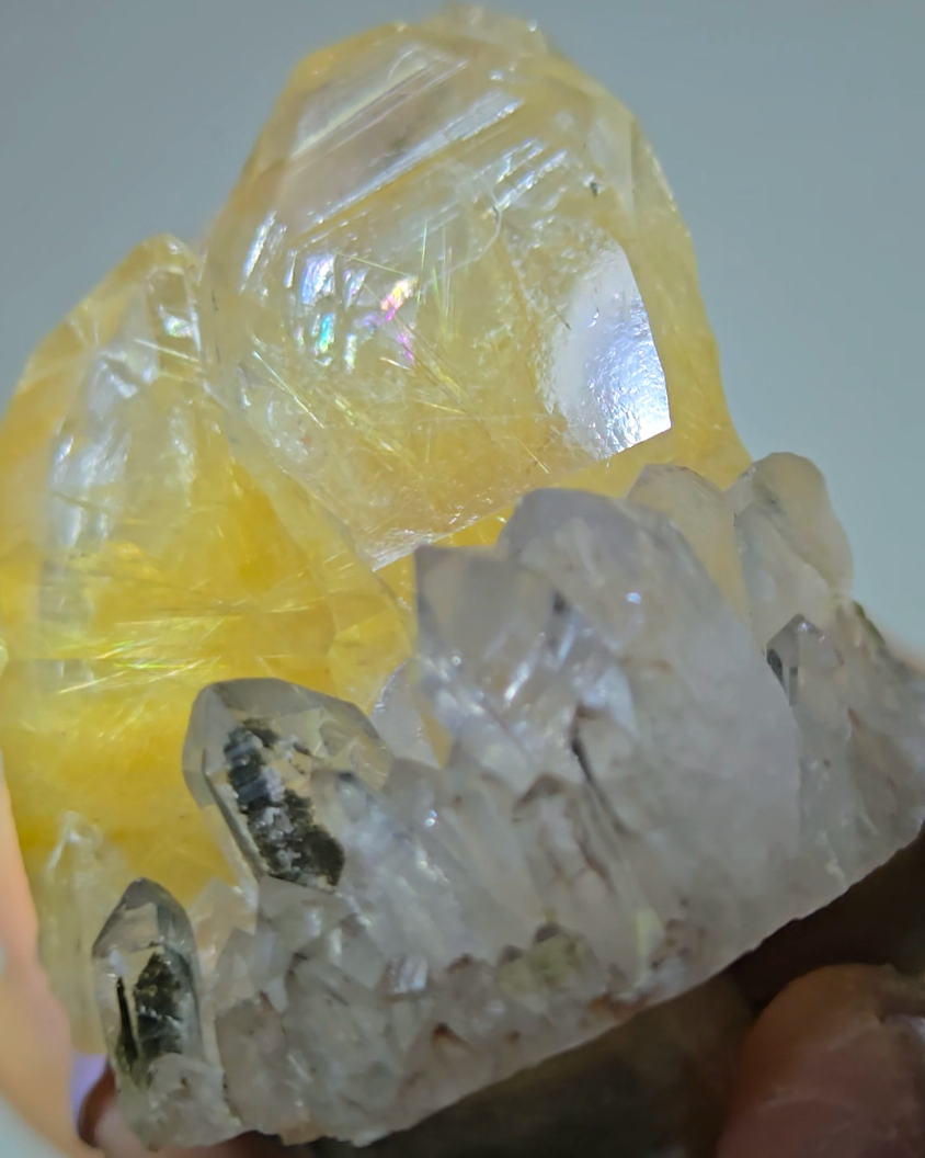 Golden rutilated quartz with chlorite points, rainbows - RT110