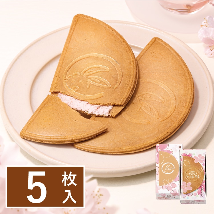 日本直送春季限定版 櫻花春季限定版5入/10入