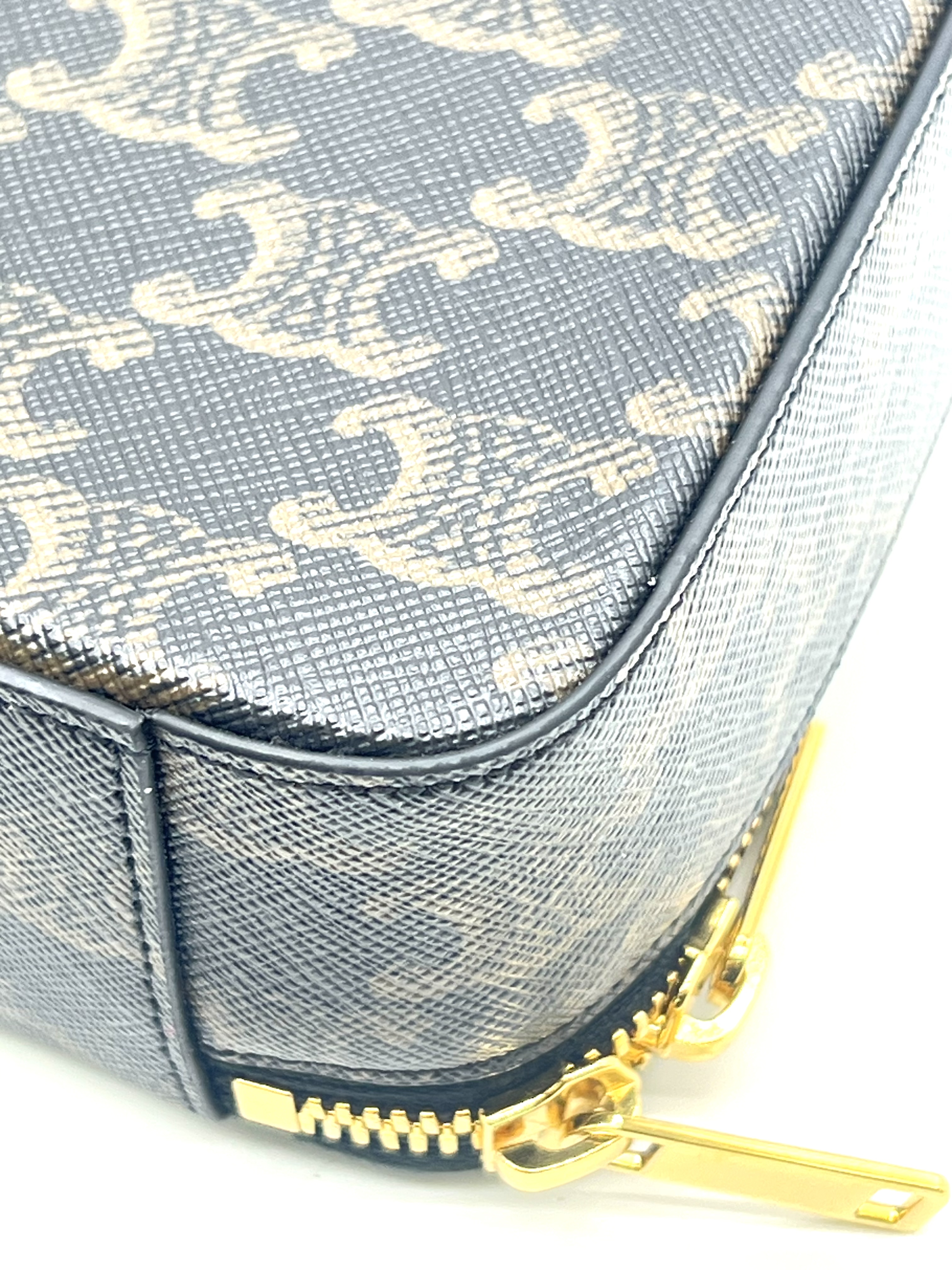 Pre-Owned CELINE Triomphe Vanity Case / Product Code: 26051704