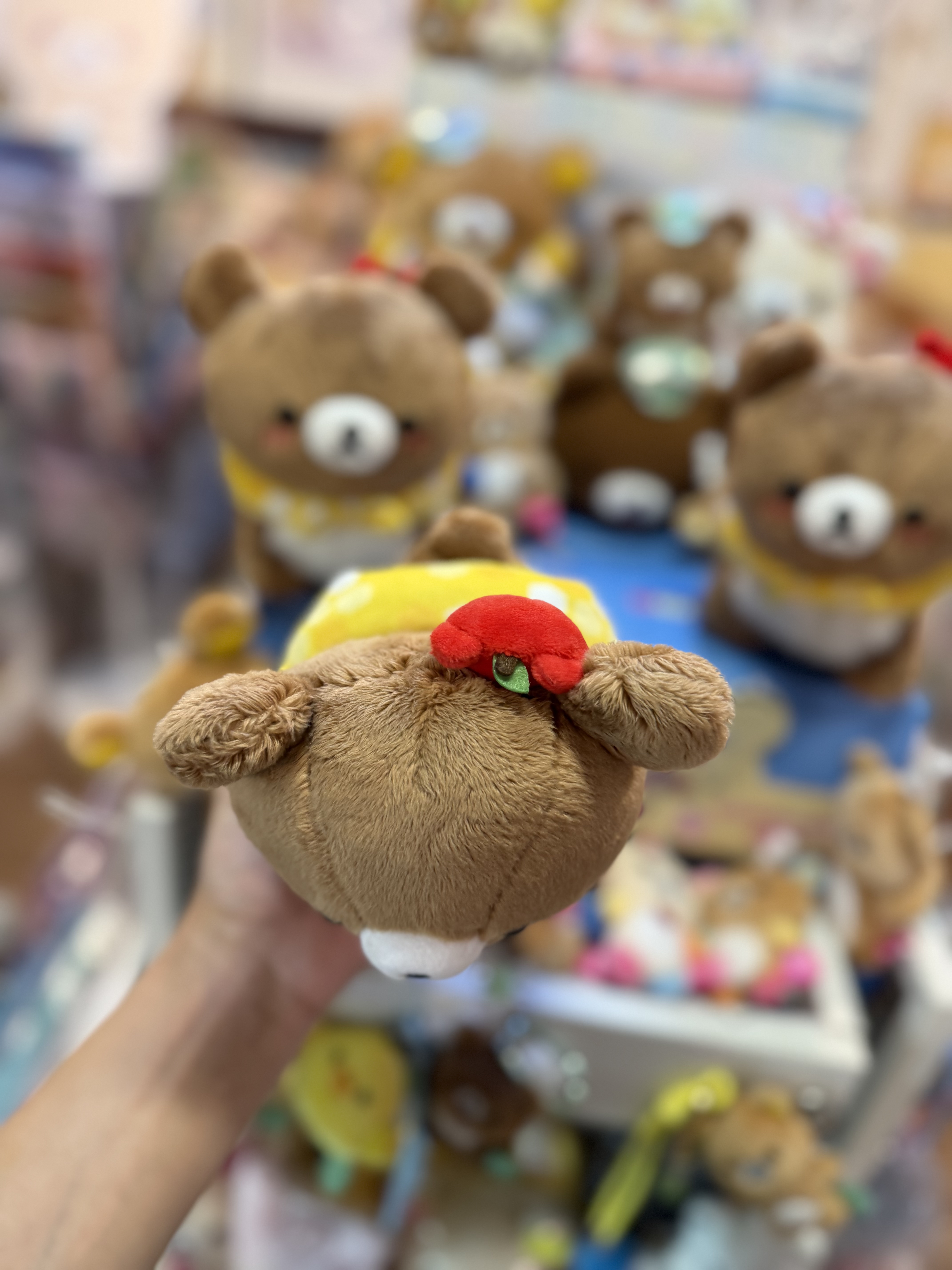 《現貨》全新日本小熊10週年紀念巡迴pop up店限定小熊探險隊系列爬爬公仔
