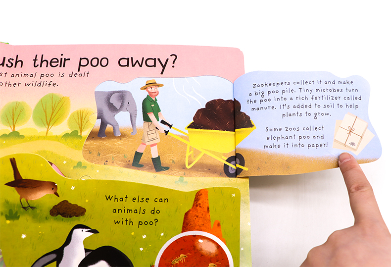 Usborne First Questions and Answers系列翻翻書 Where Does Poo Go便便去哪裡了