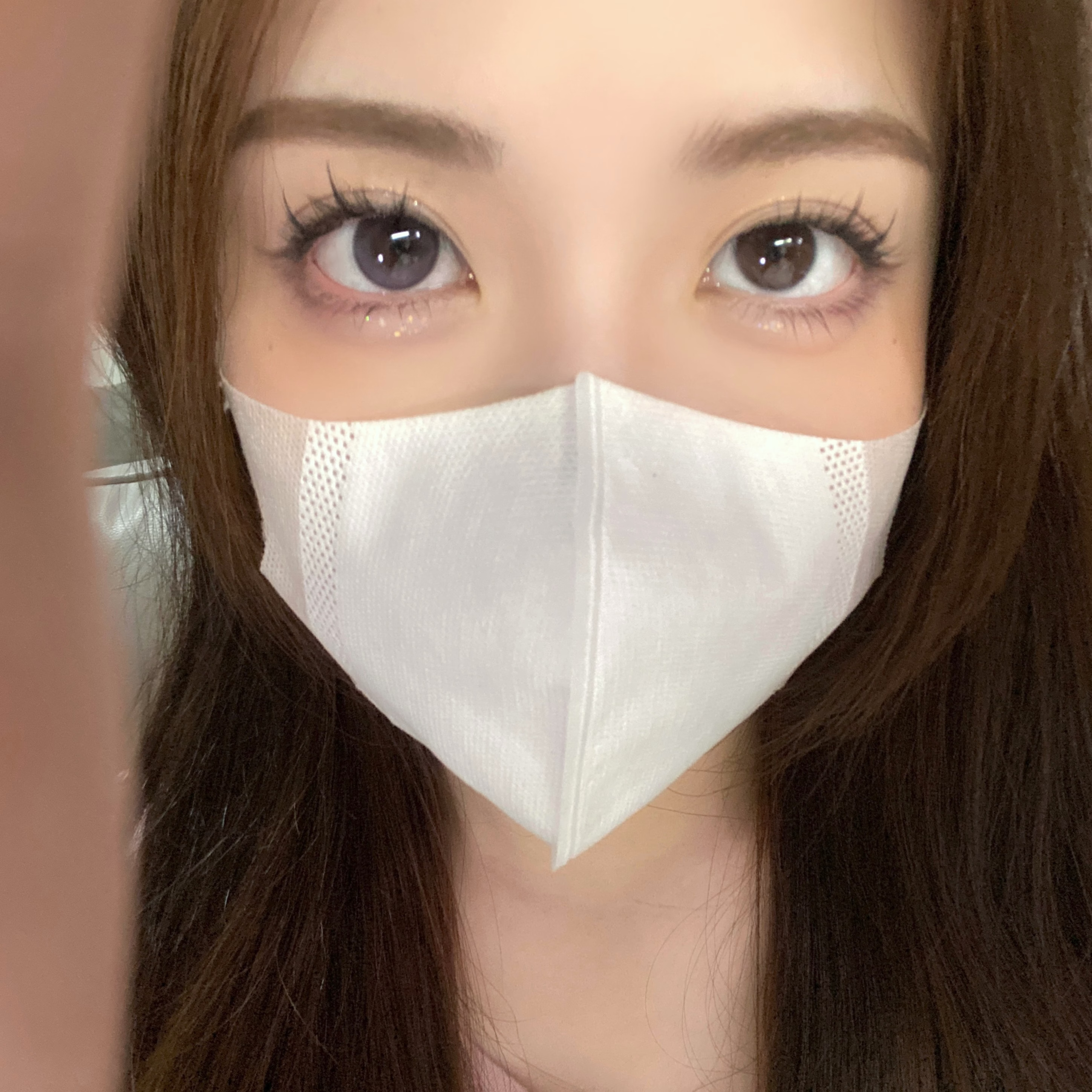 Kaylens 半年拋 月神閃蝶/星褐閃碟/紫晶閃蝶