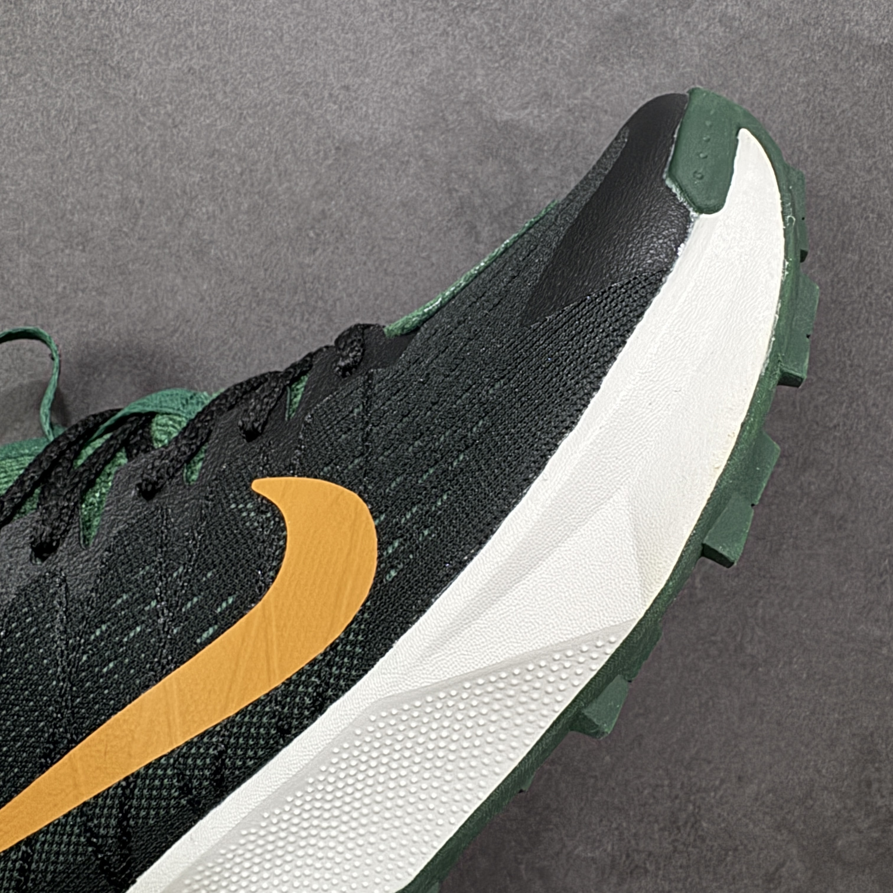 Nike Wildhorse 10 FV2338-005