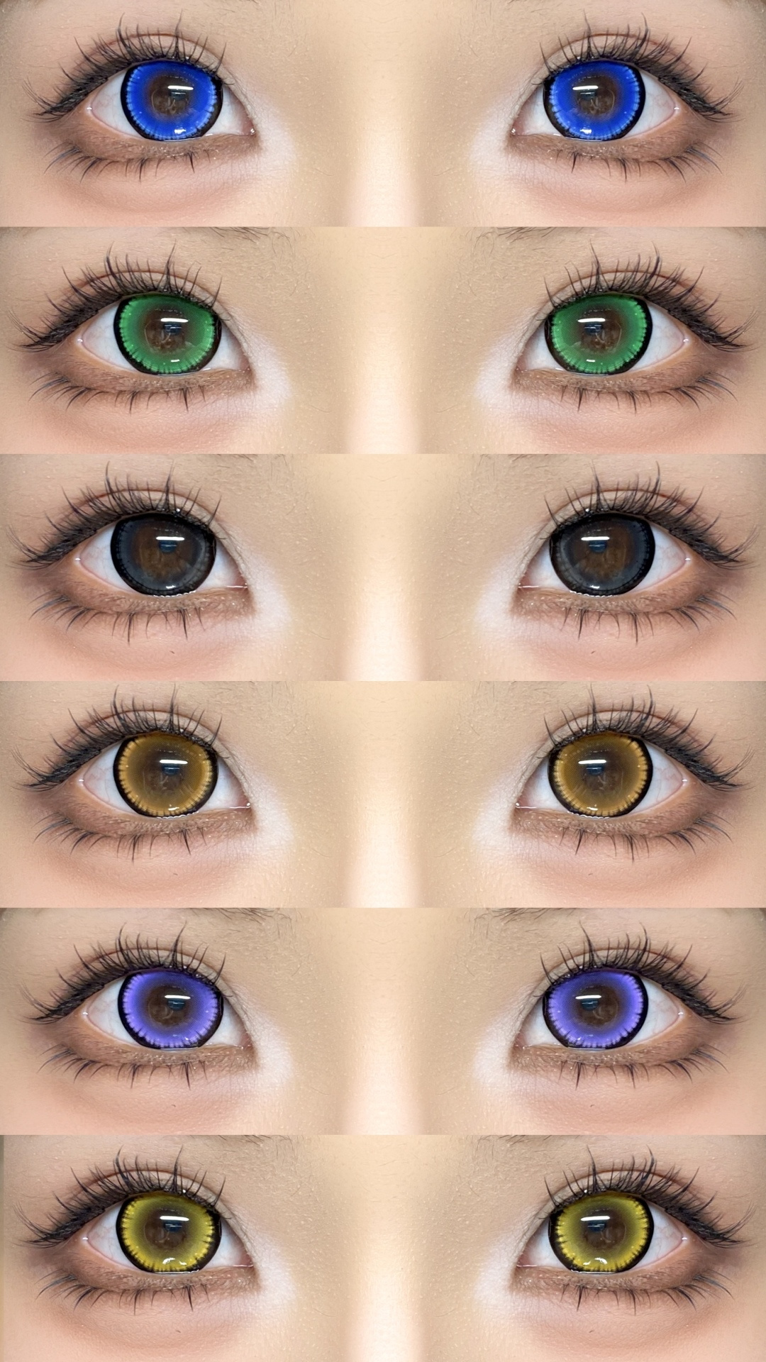 Dgugulens 日拋 大大顆系列