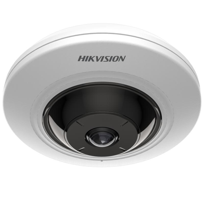 Hikvision 海康威視 5MP DS-2CD2955G0-ISU Fixed Fisheye Network Camera (香港行貨，一年保用)