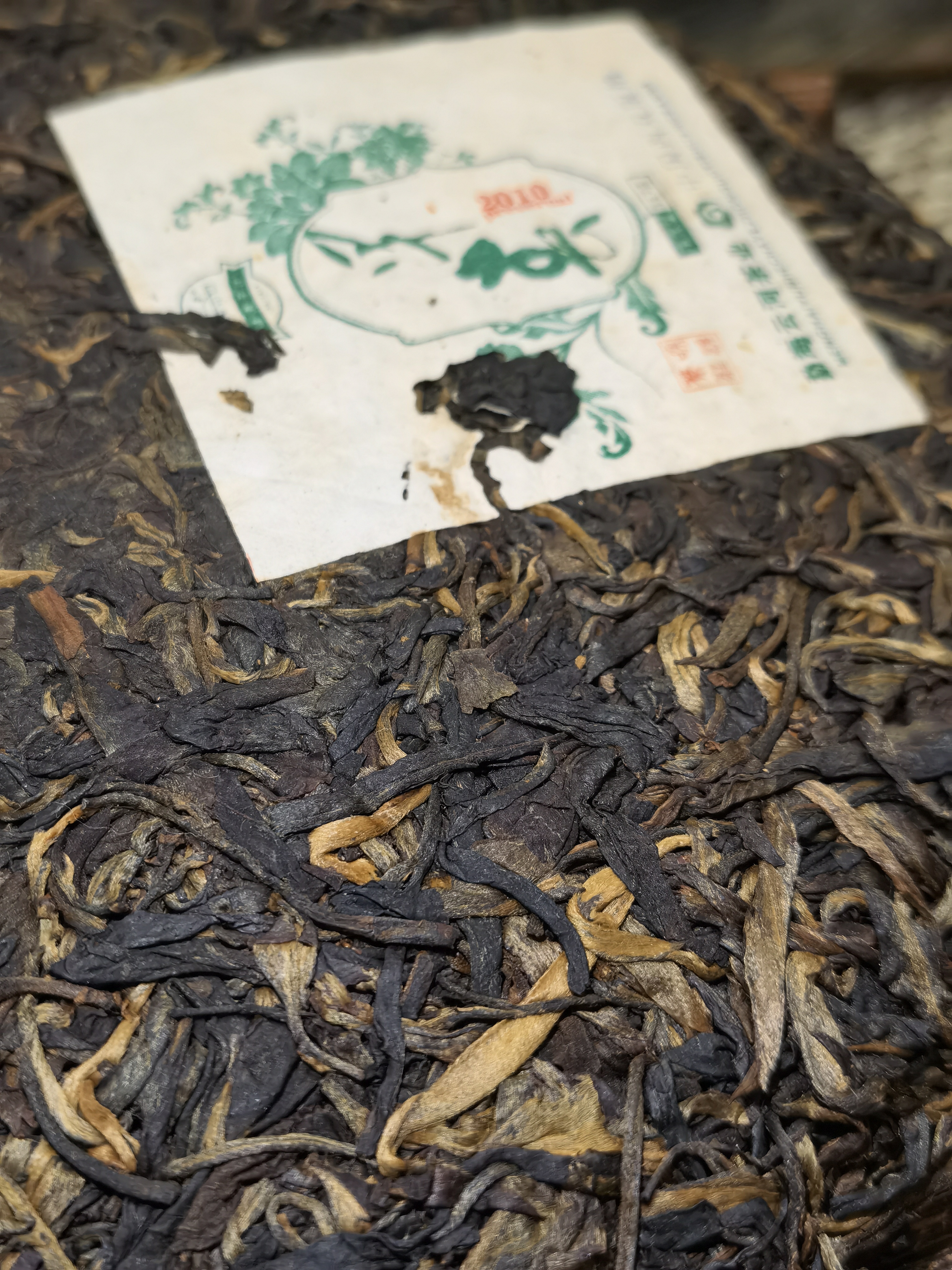 2010年 早春 - 生普<有需要請聯絡我們 852-6329 6186>