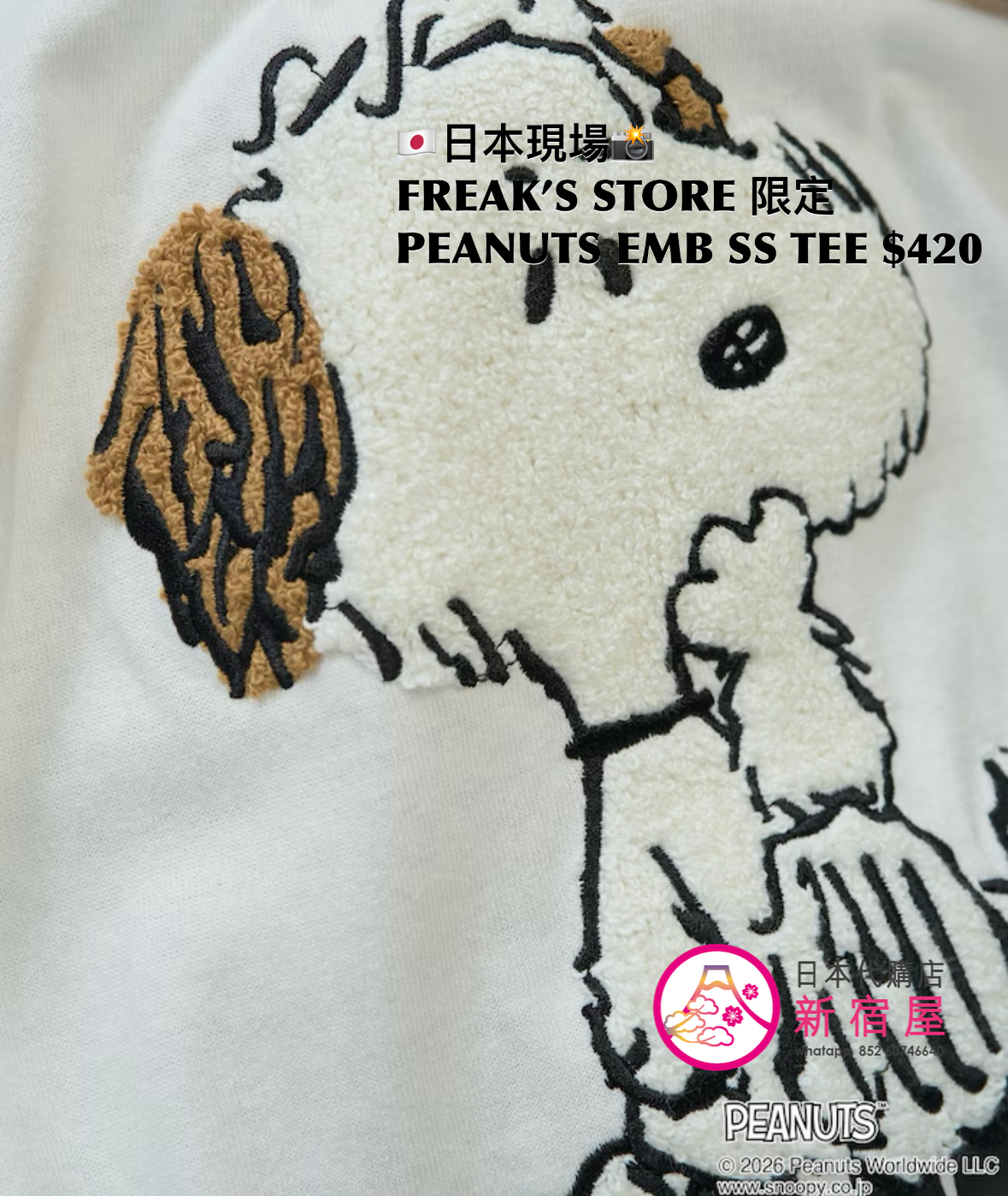 FREAK’S STORE 限定 PEANUTS EMBROIDERY S/S T-SHIRT 
