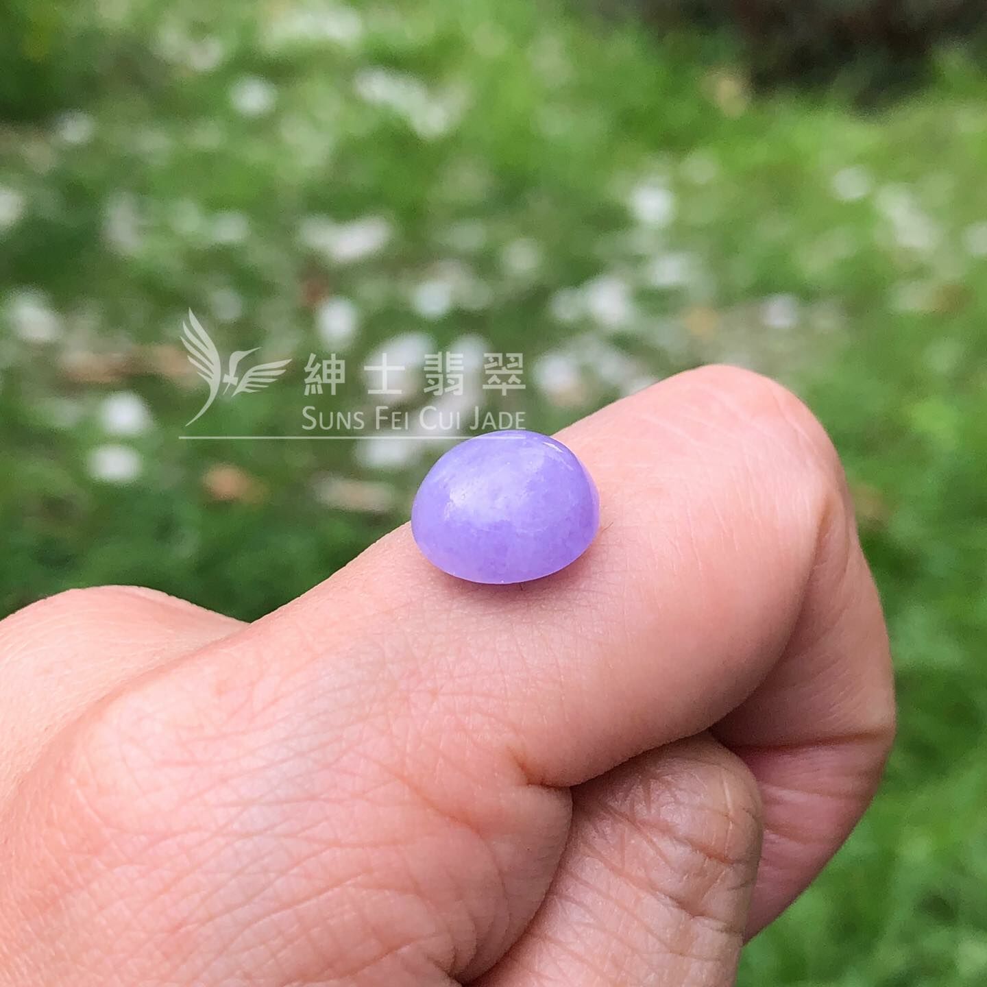 濃色正紫蛋面 - 13