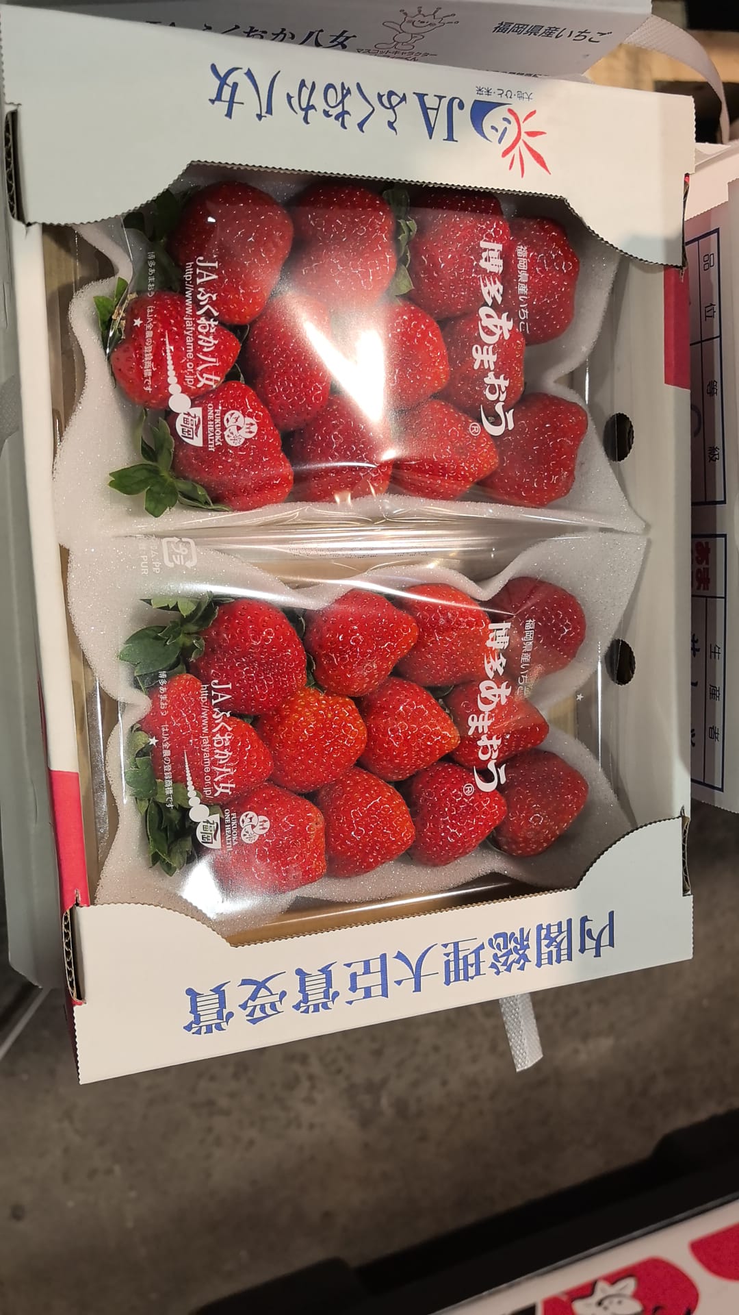 日本福崗（甜王）士多啤梨 每盒两包