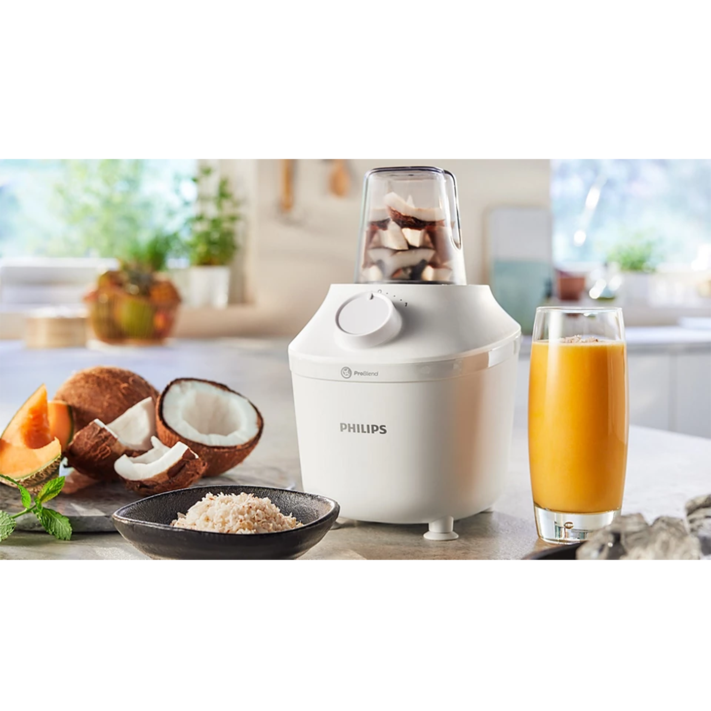 Philips 3000 Series 450W Blender & Dry Mill Set (HR2041/10)