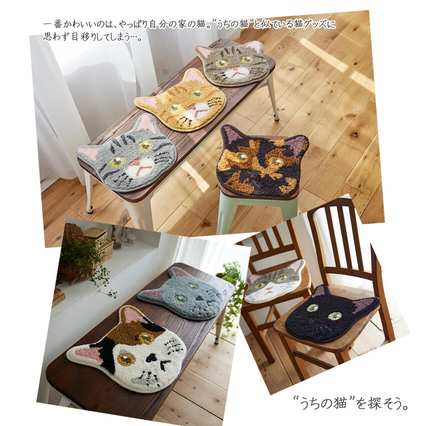 【搵返你屋企嗰隻貓】日本 NEKOKAO 療癒系貓臉椅墊｜13款神還原花色