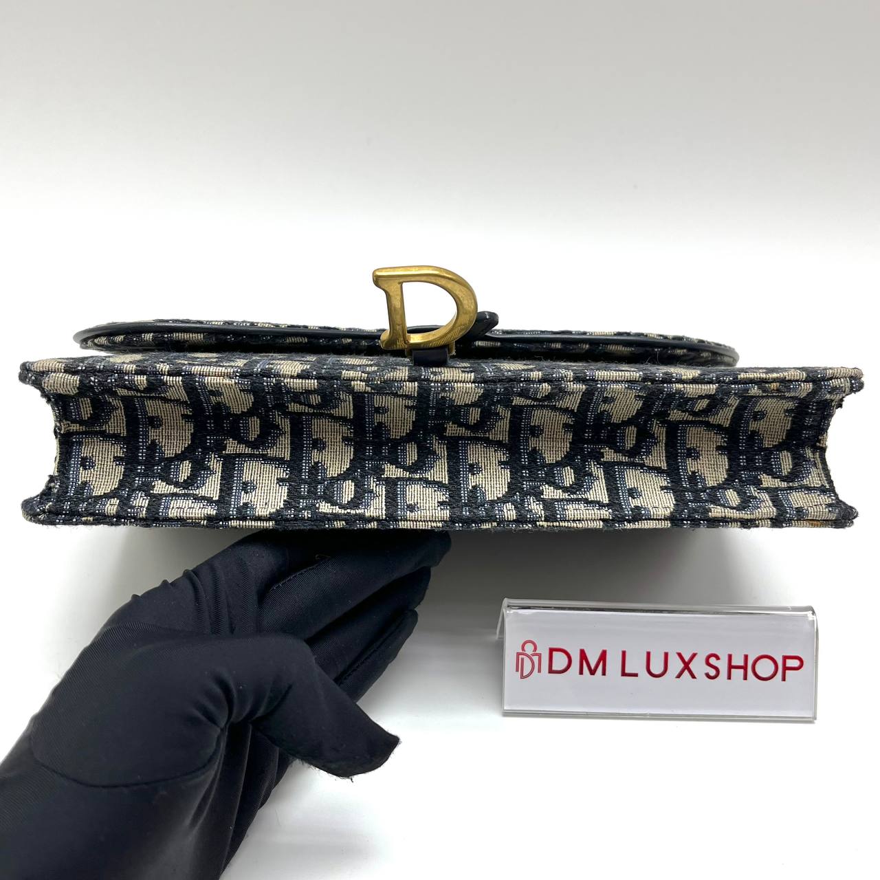 Dior Saddle Oblique WOC GHW