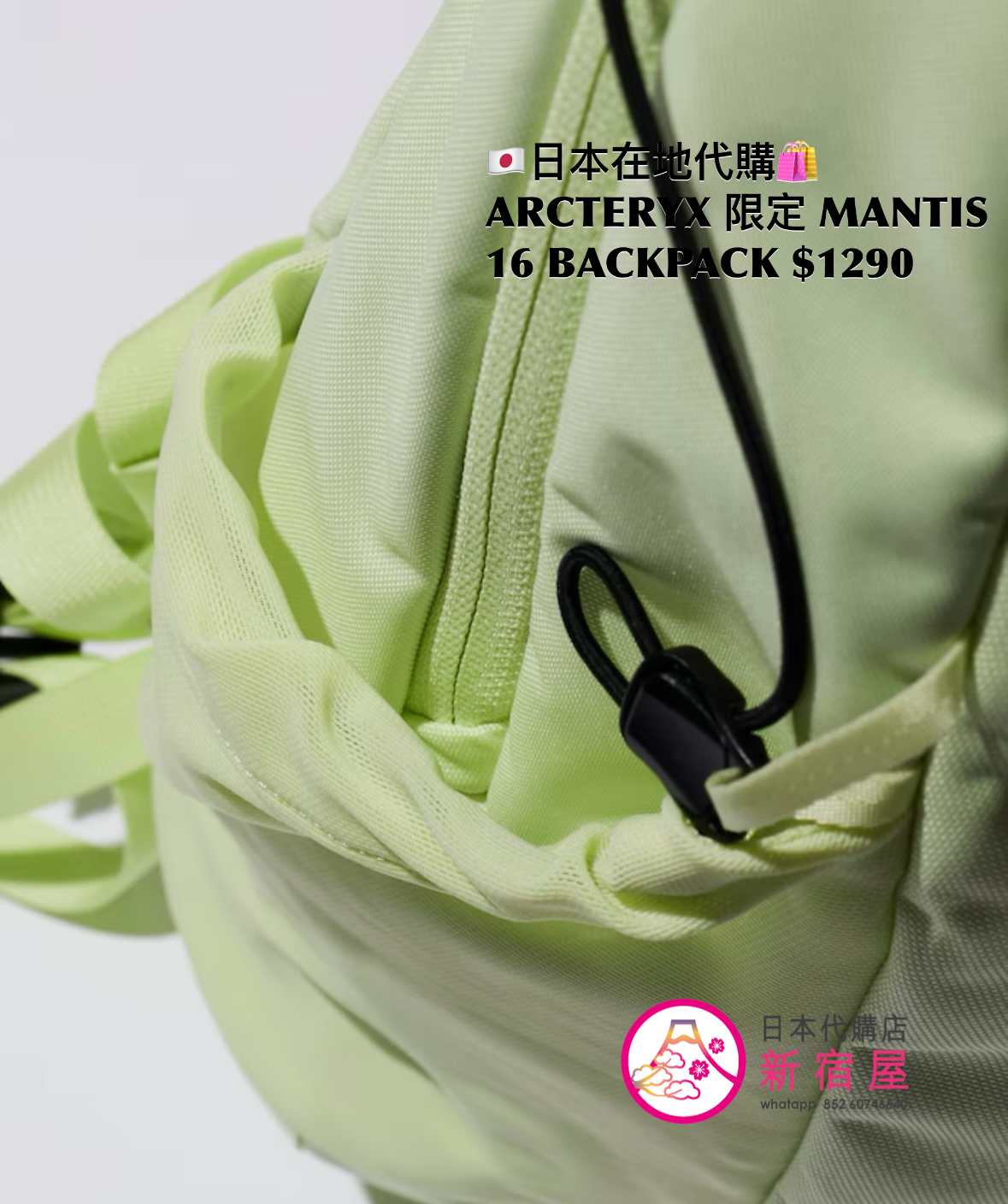 ARCTERYX 限定 MANTIS 16 BACKPACK