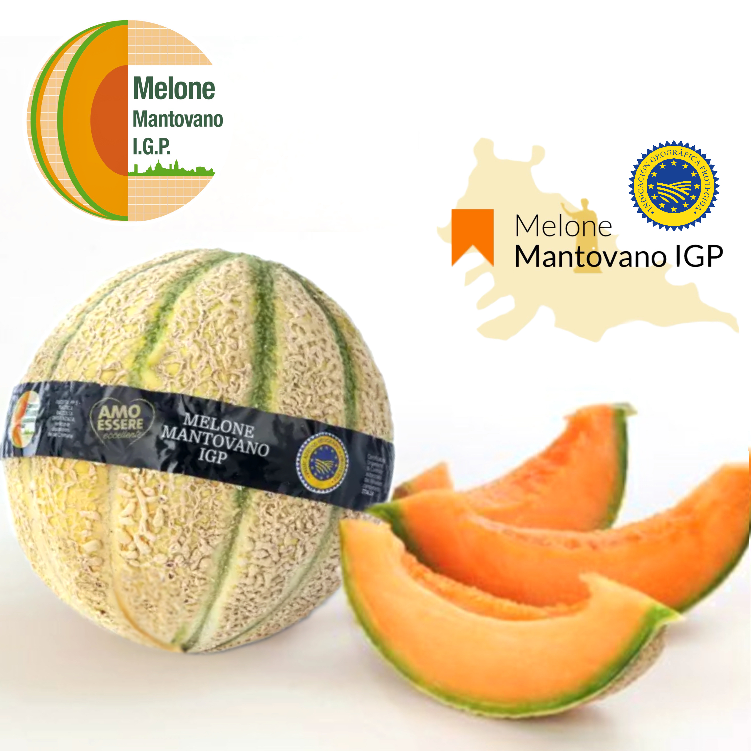 💧意大利 PGI麝香蜜瓜 Italy Melone Mantovano PGI Musk Melon